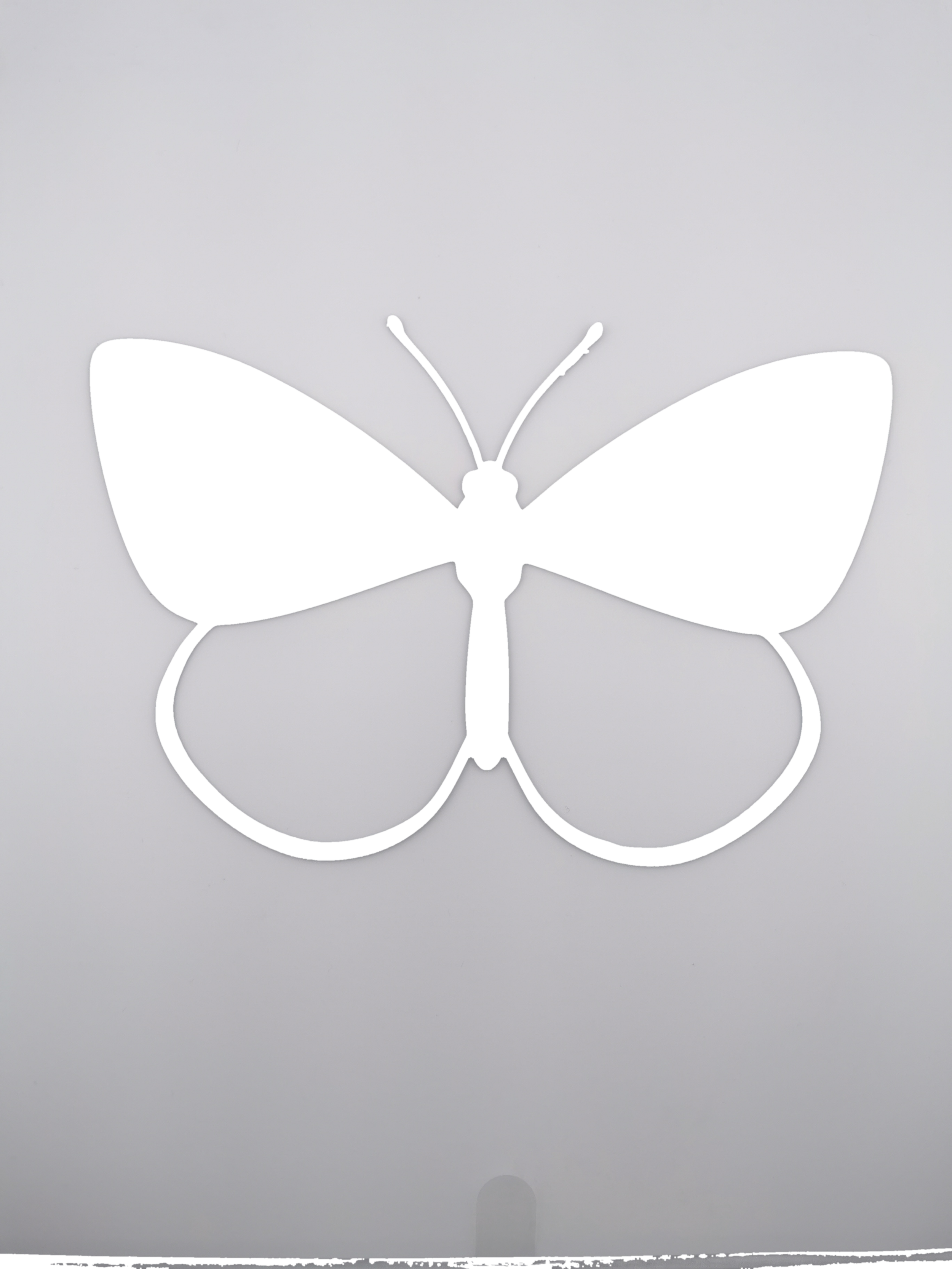 butterfly_white.png