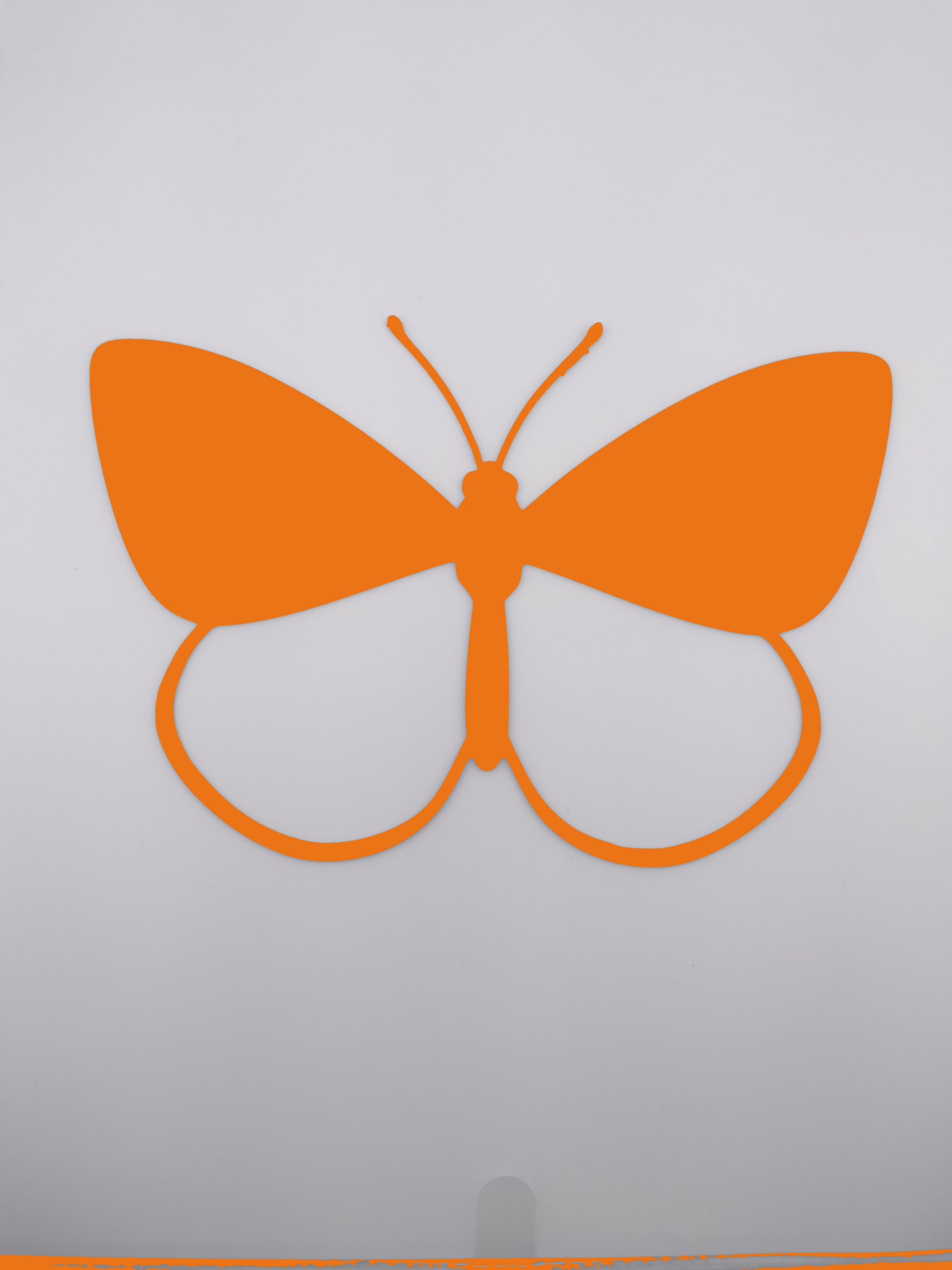 butterfly_orange.png