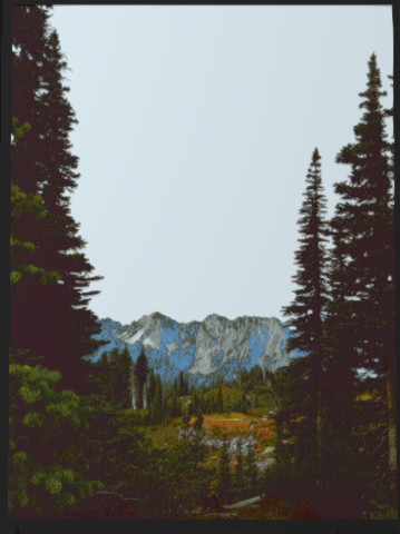 Haley's Forest Scene.png