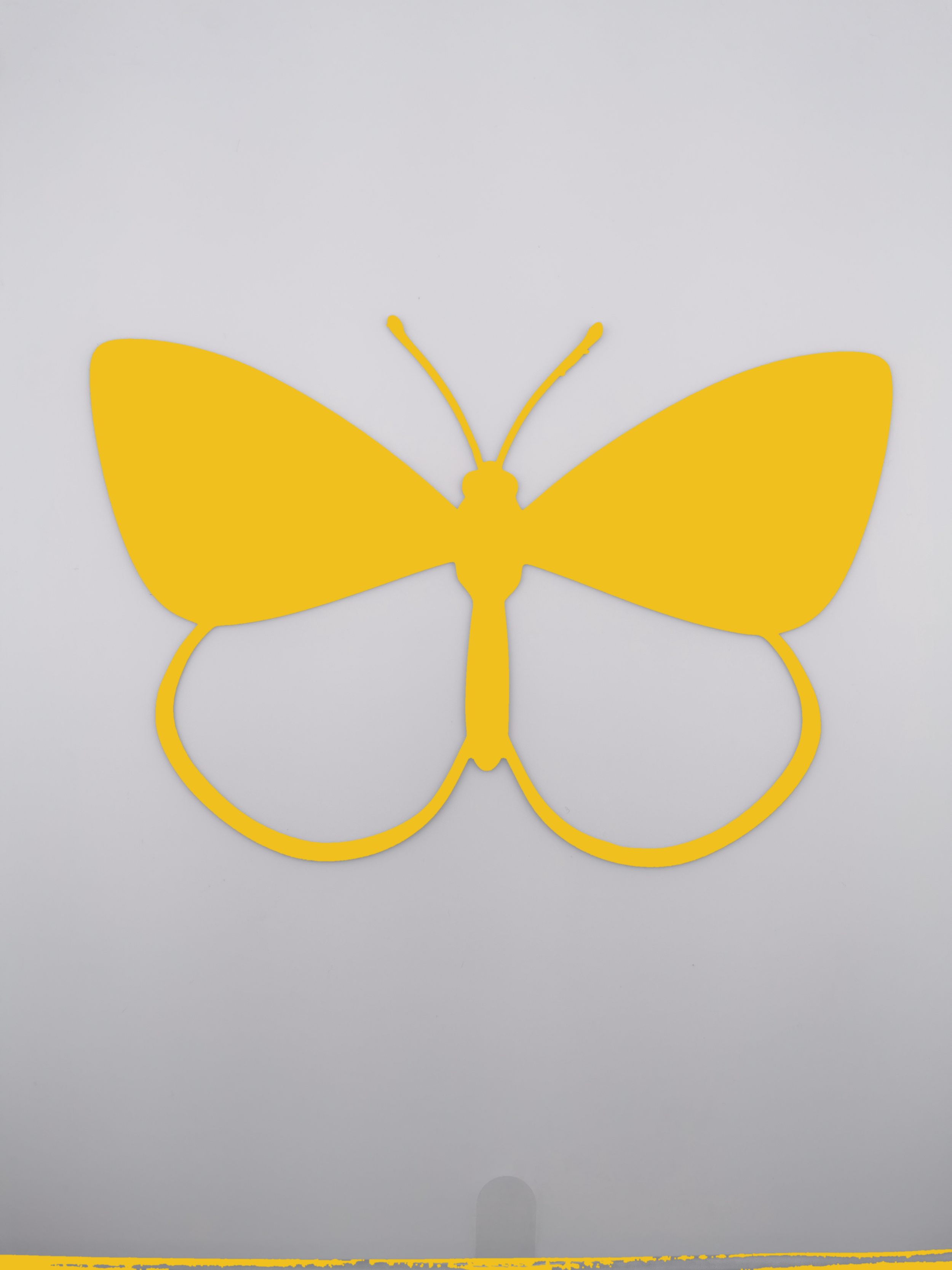 butterfly_yellow.png