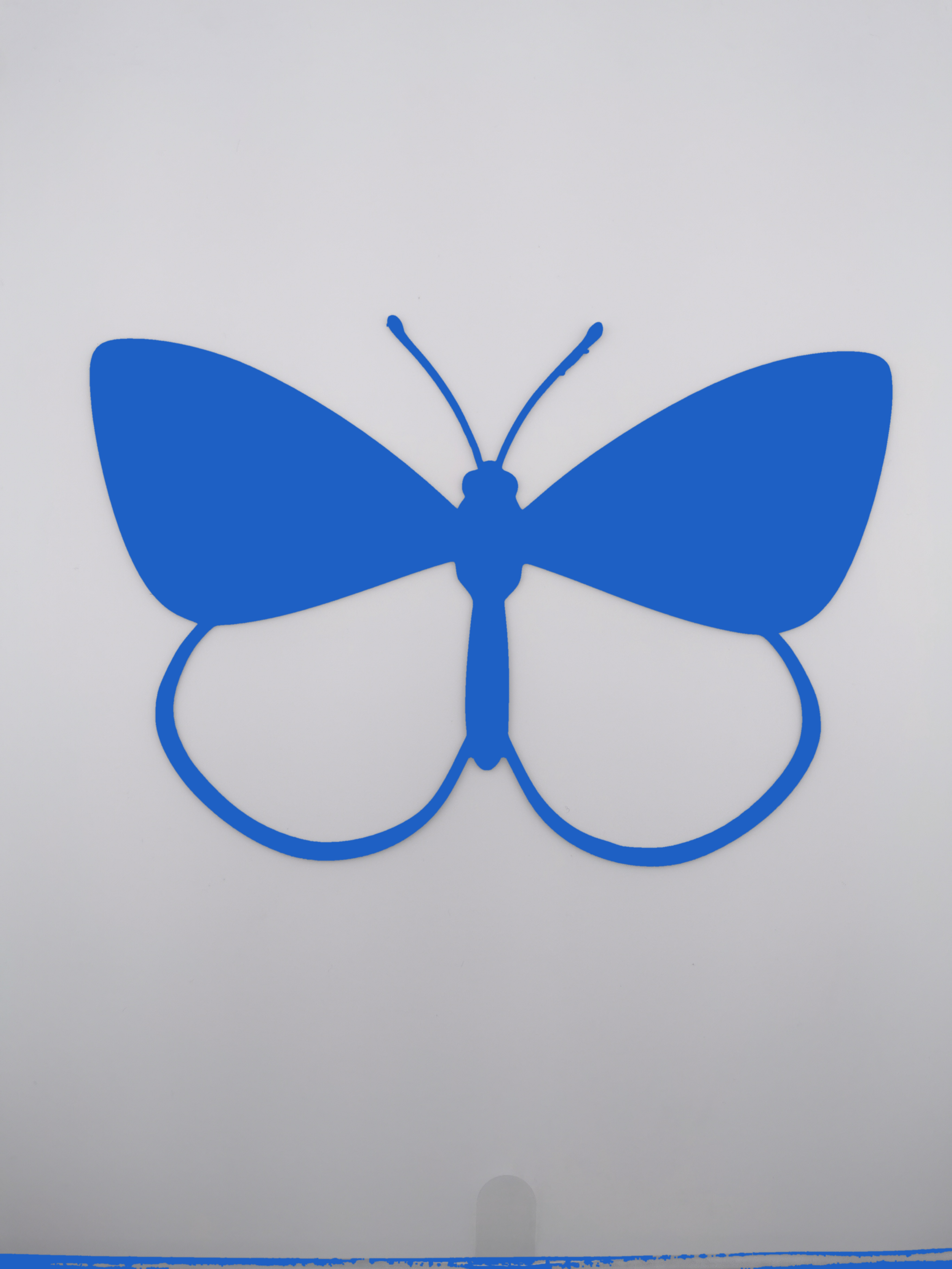 butterfly_blue.png