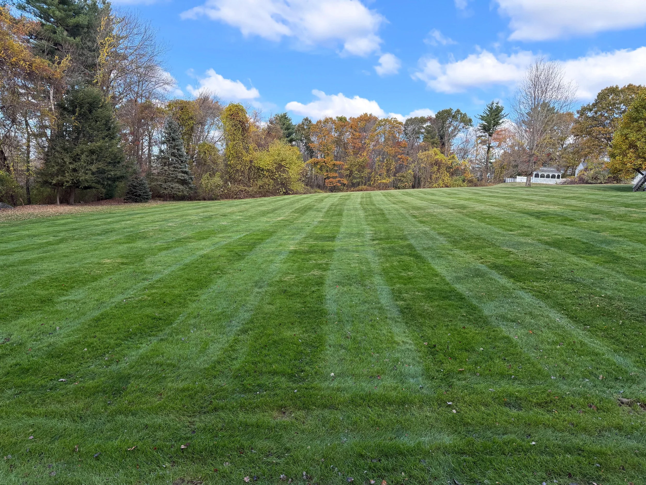 A large, well-manicured green lawn with visible mowing lines, bordered by trees with autumn foliage, under a partly cloudy blue sky.