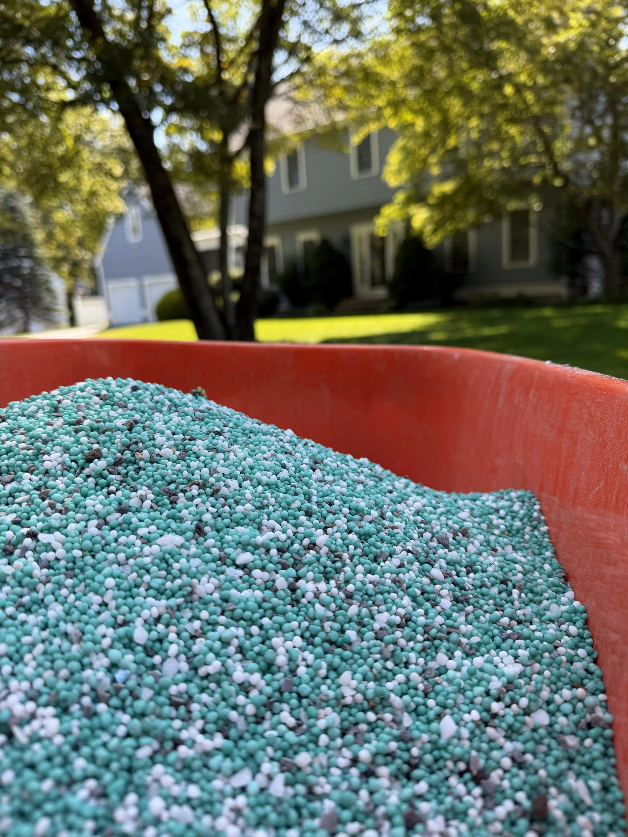 Close-up of a container filled with small, round, multicolored granules outside on a sunny day with a house and trees in the background.