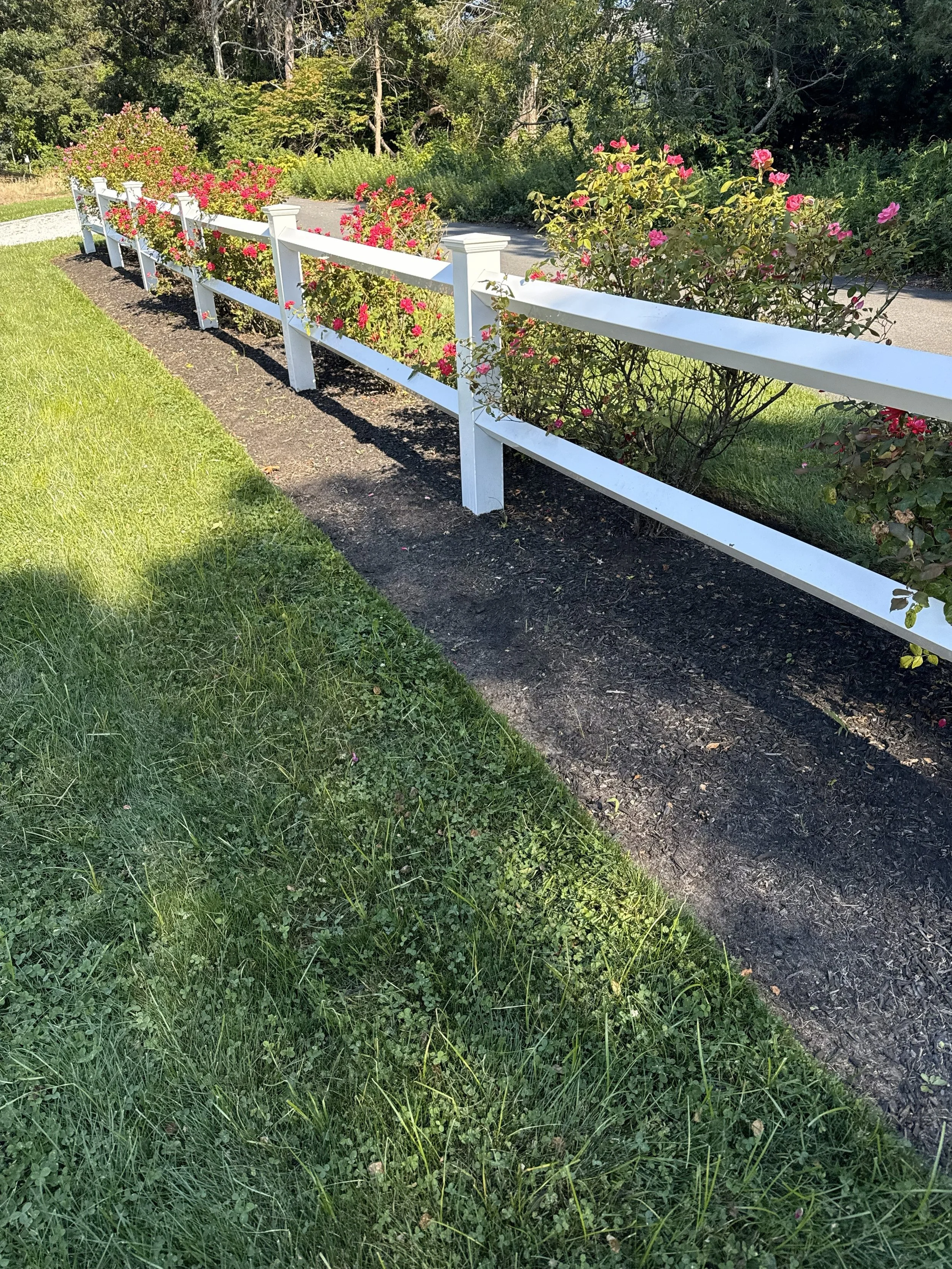 White wooden fence along a sidewalk with pink flowering bushes, green grass, and trees in the background.
