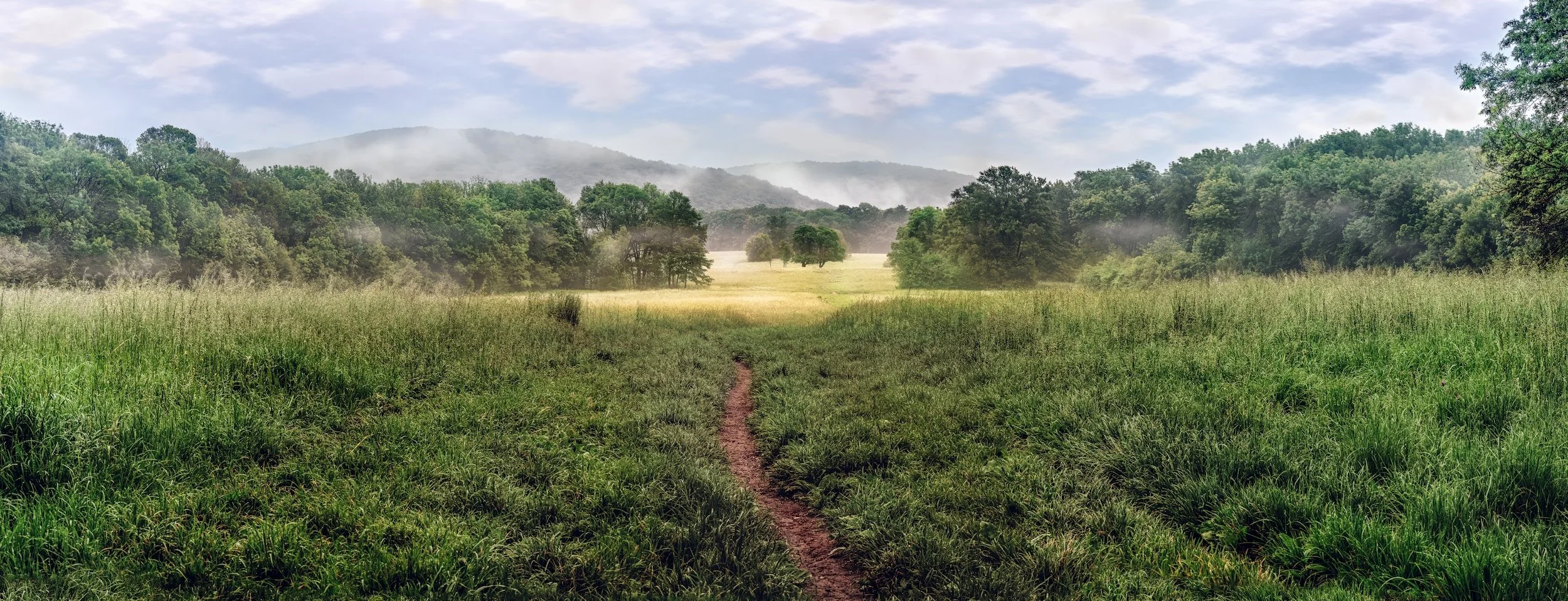 Purpose Blog #1: You Are Here for a Purpose