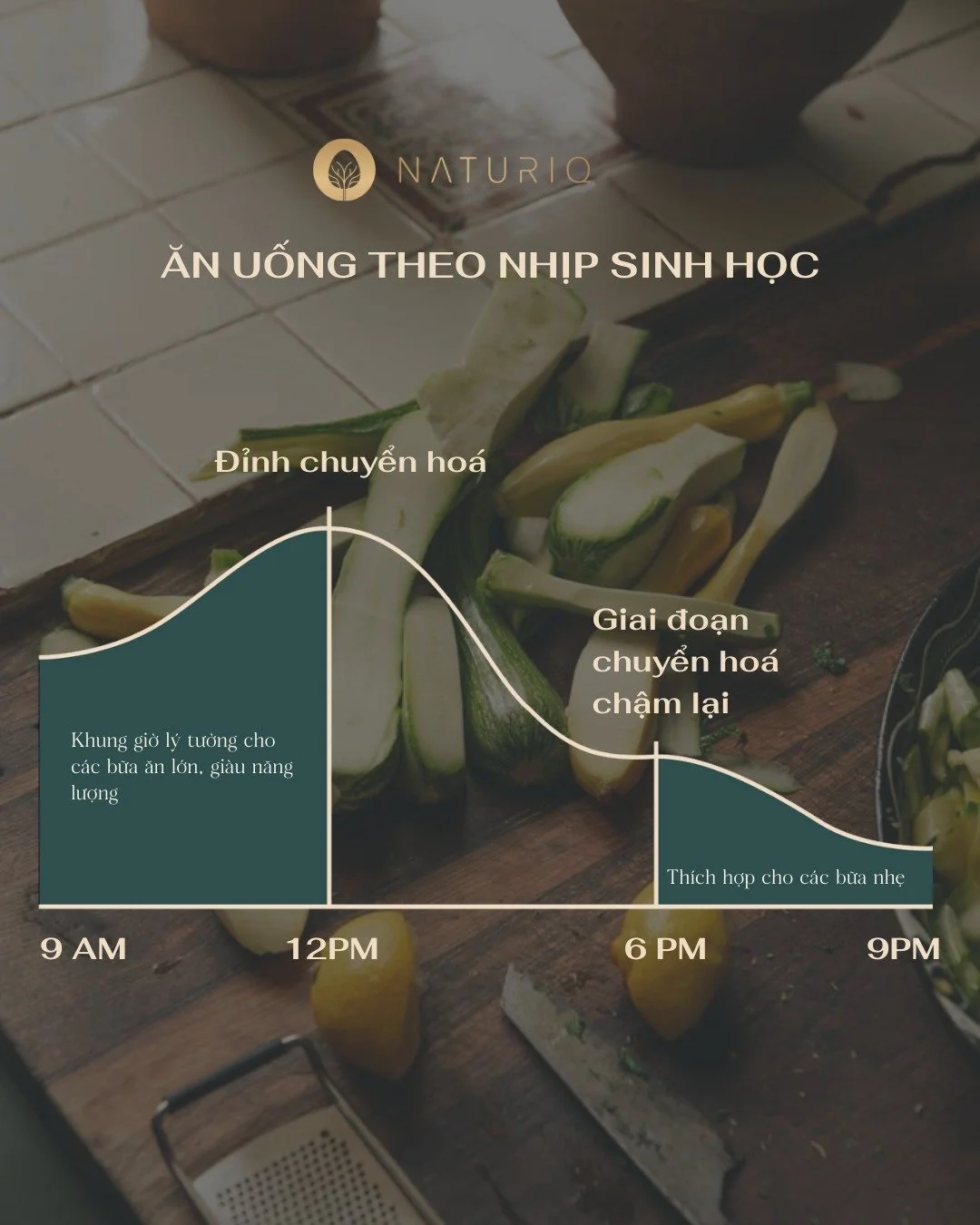 Ăn uống theo nhịp sinh học &ndash; chiến lược dinh dưỡng dựa tr&ecirc;n khoa học chuyển ho&aacute;

Cơ thể vận h&agrave;nh theo c&aacute;c chu kỳ sinh học r&otilde; rệt, ảnh hưởng đến khả năng ti&ecirc;u ho&aacute;, độ nhạy insulin v&agrave; c&aacute