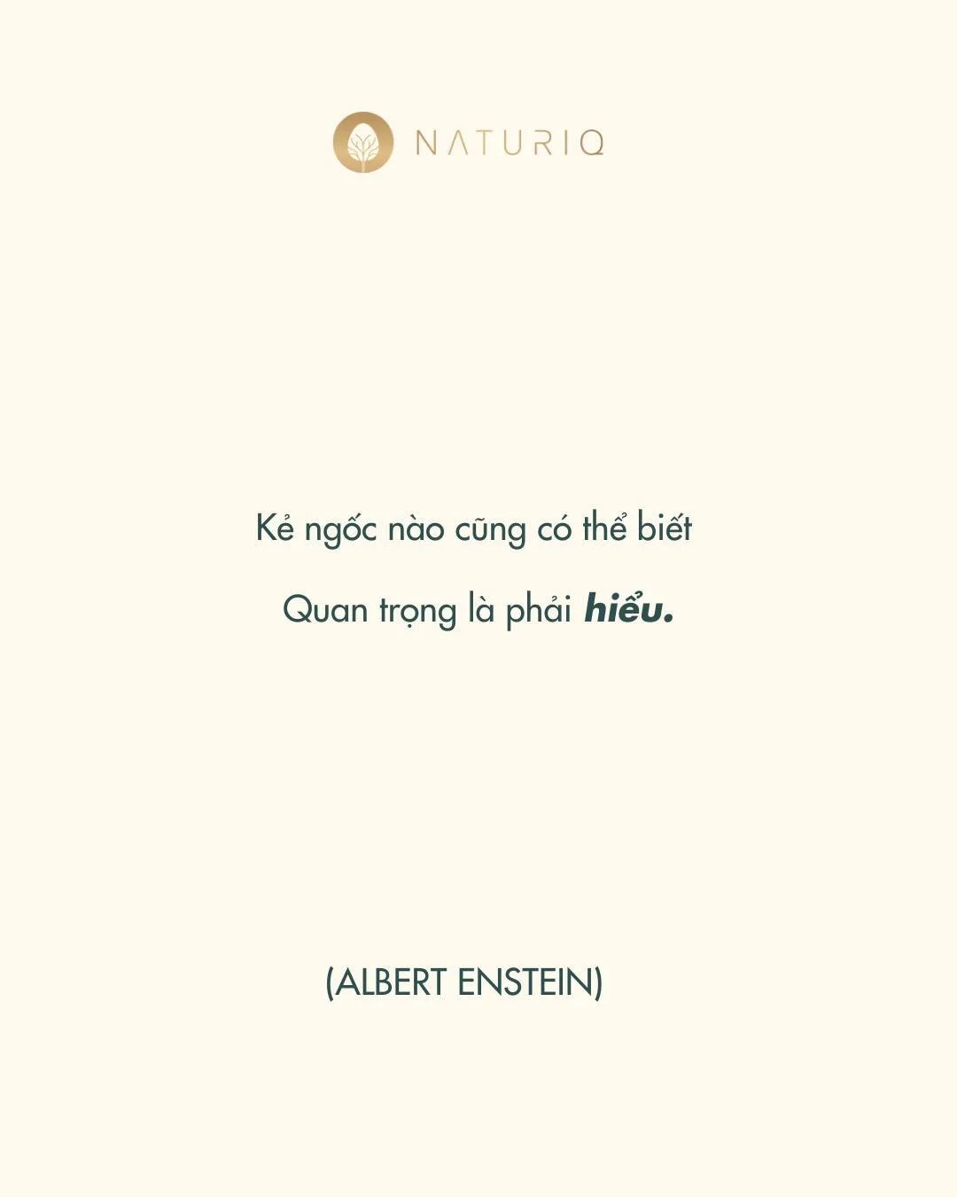 &ldquo;Kẻ ngốc n&agrave;o cũng c&oacute; thể biết.
Quan trọng l&agrave; phải hiểu.&rdquo;
- Albert Einstein 💡

Trong bối cảnh hiện đại, con người tiếp x&uacute;c với tri thức nhiều hơn bất kỳ giai đoạn n&agrave;o trước đ&acirc;y. Dữ liệu, kh&aacute;