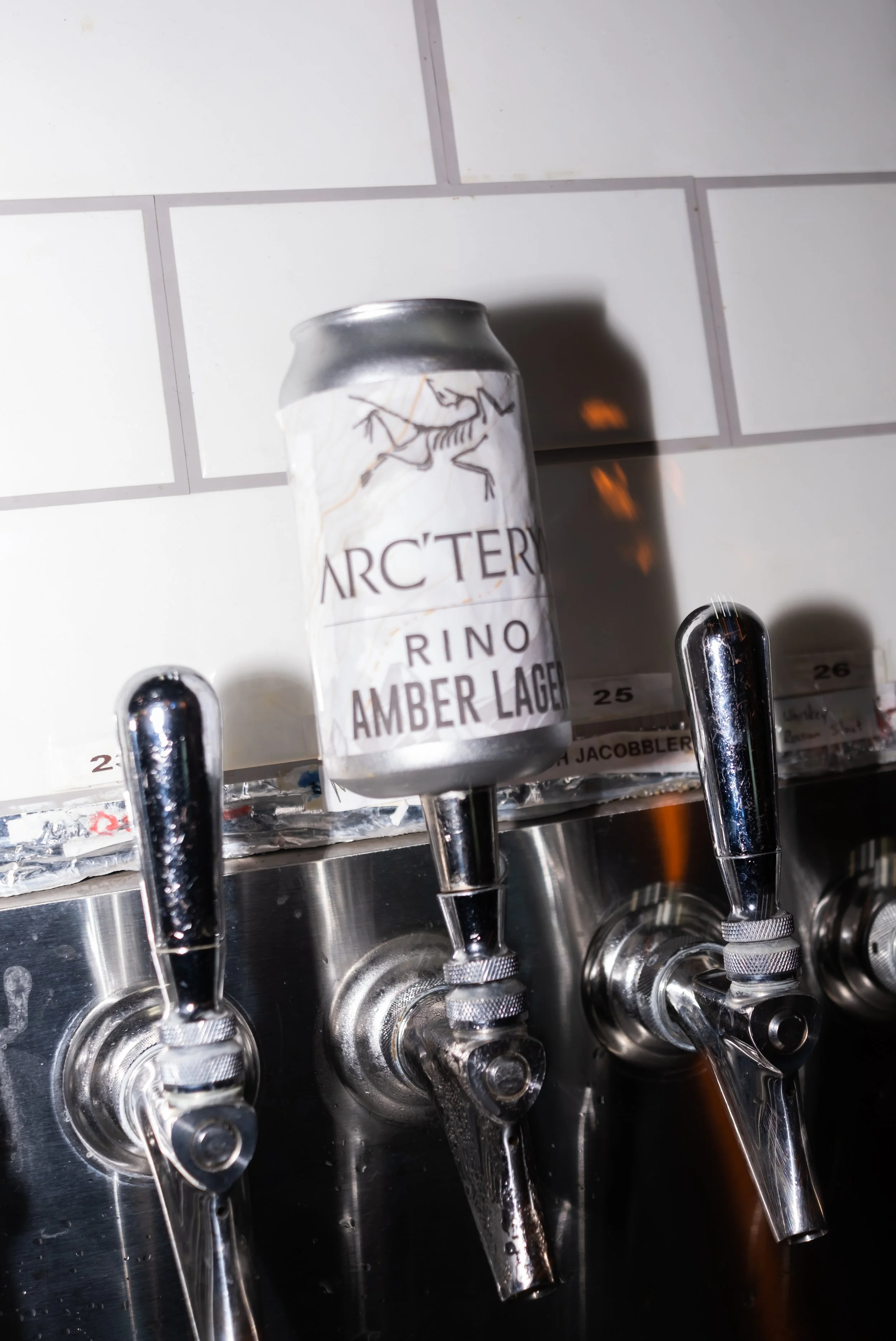 Arc-Teryx RINO Fuji-60.jpg