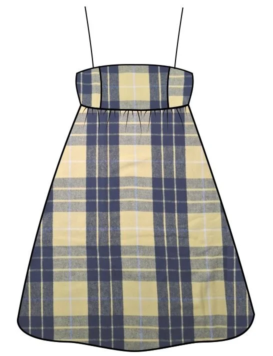Nova Dress Plaid.JPG
