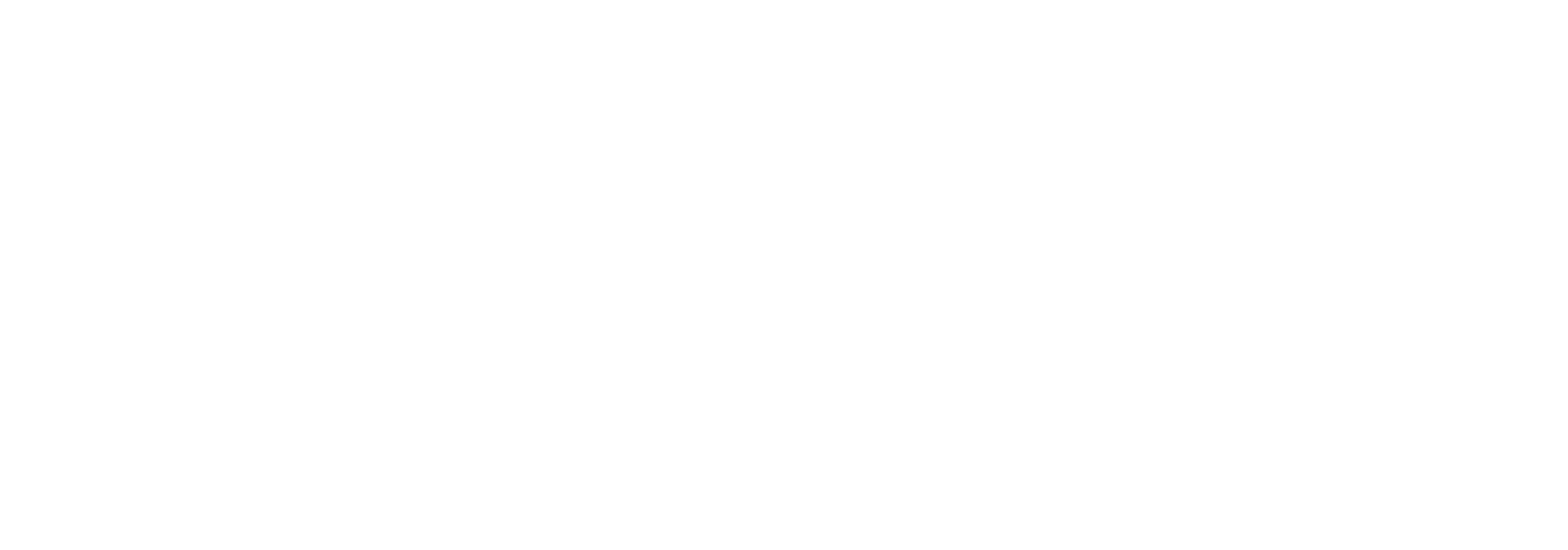 VisionTrak Logo
