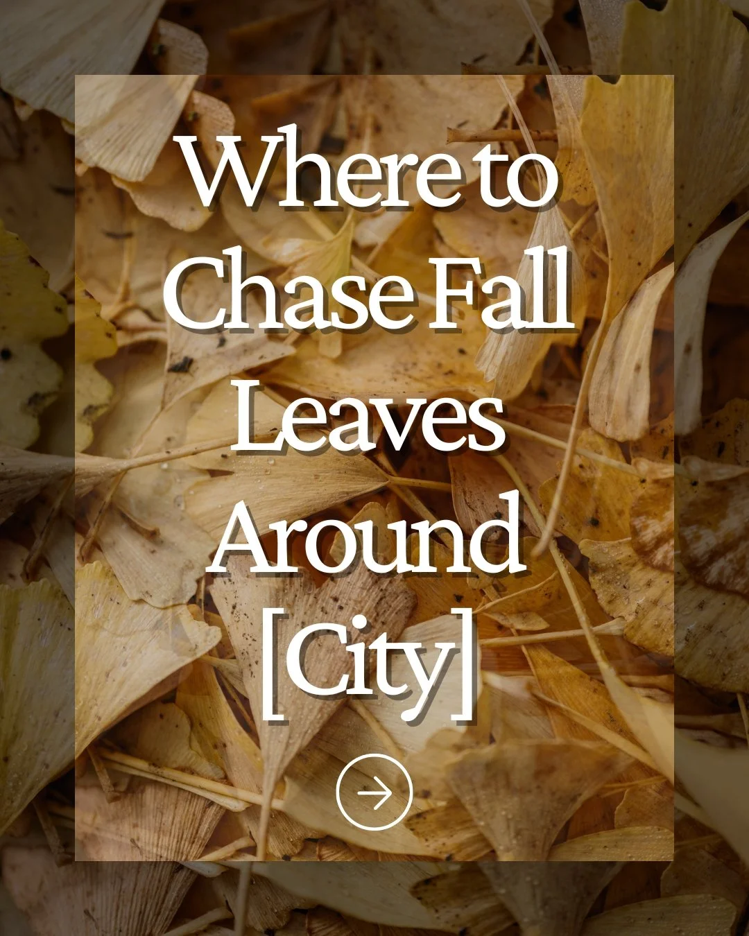 Local Content - Where to chase fall leaves - September - Carousel