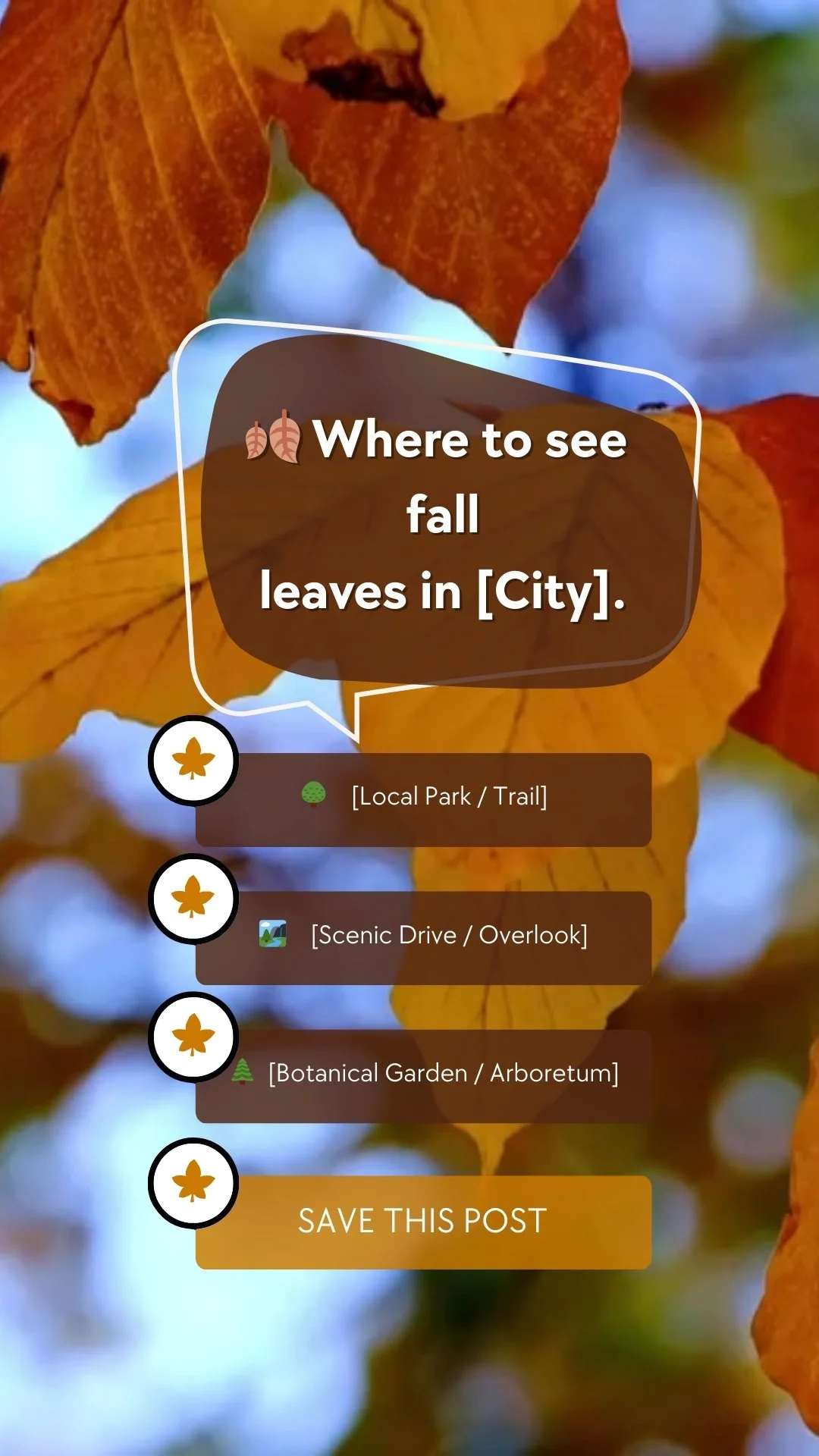 Local Content - Where to chase fall leaves - September - Seasonal Holidays- Reel