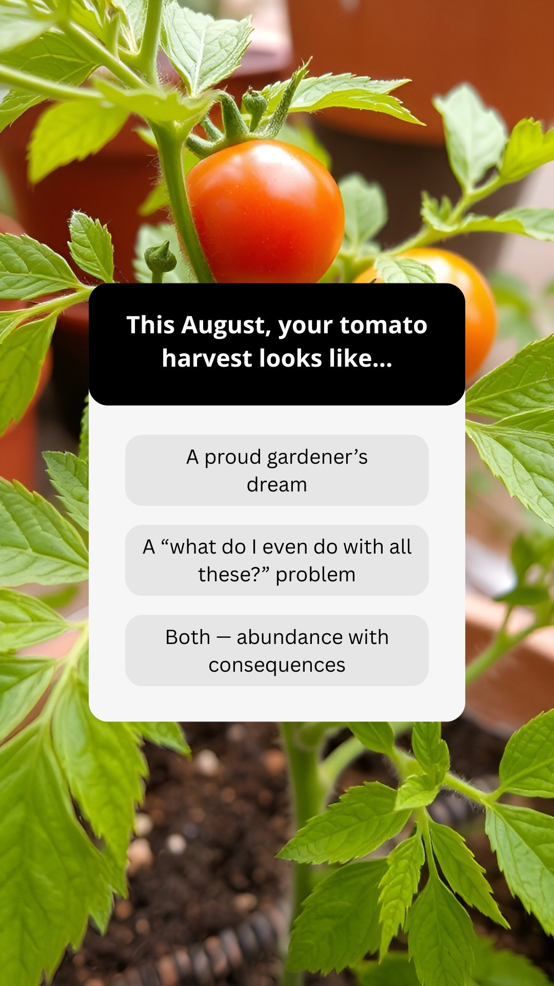 Engagement Poll - August - Décor &amp; Garden