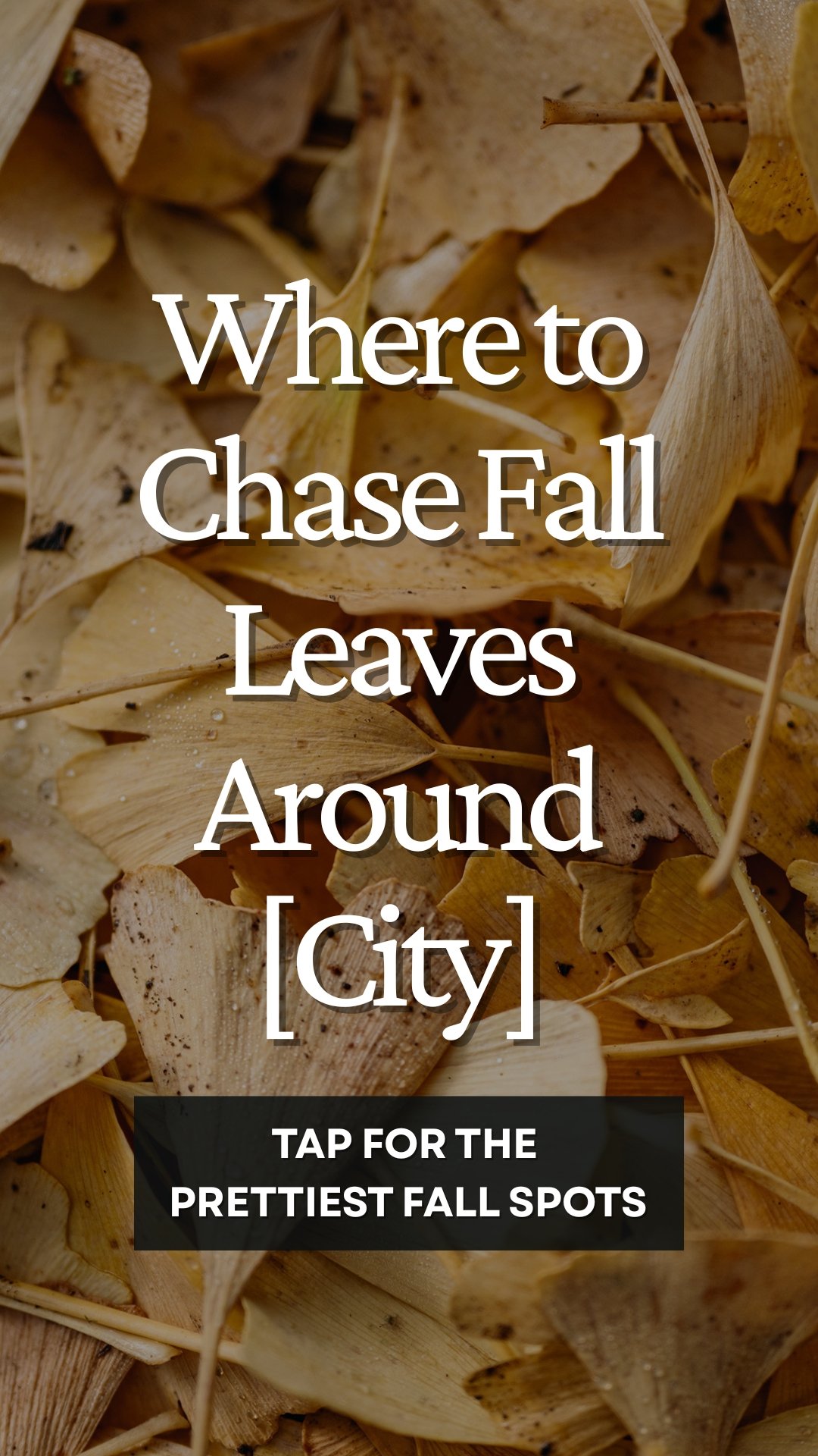 Tap to Reveal - September - Local content - Where to catch the fall leaves