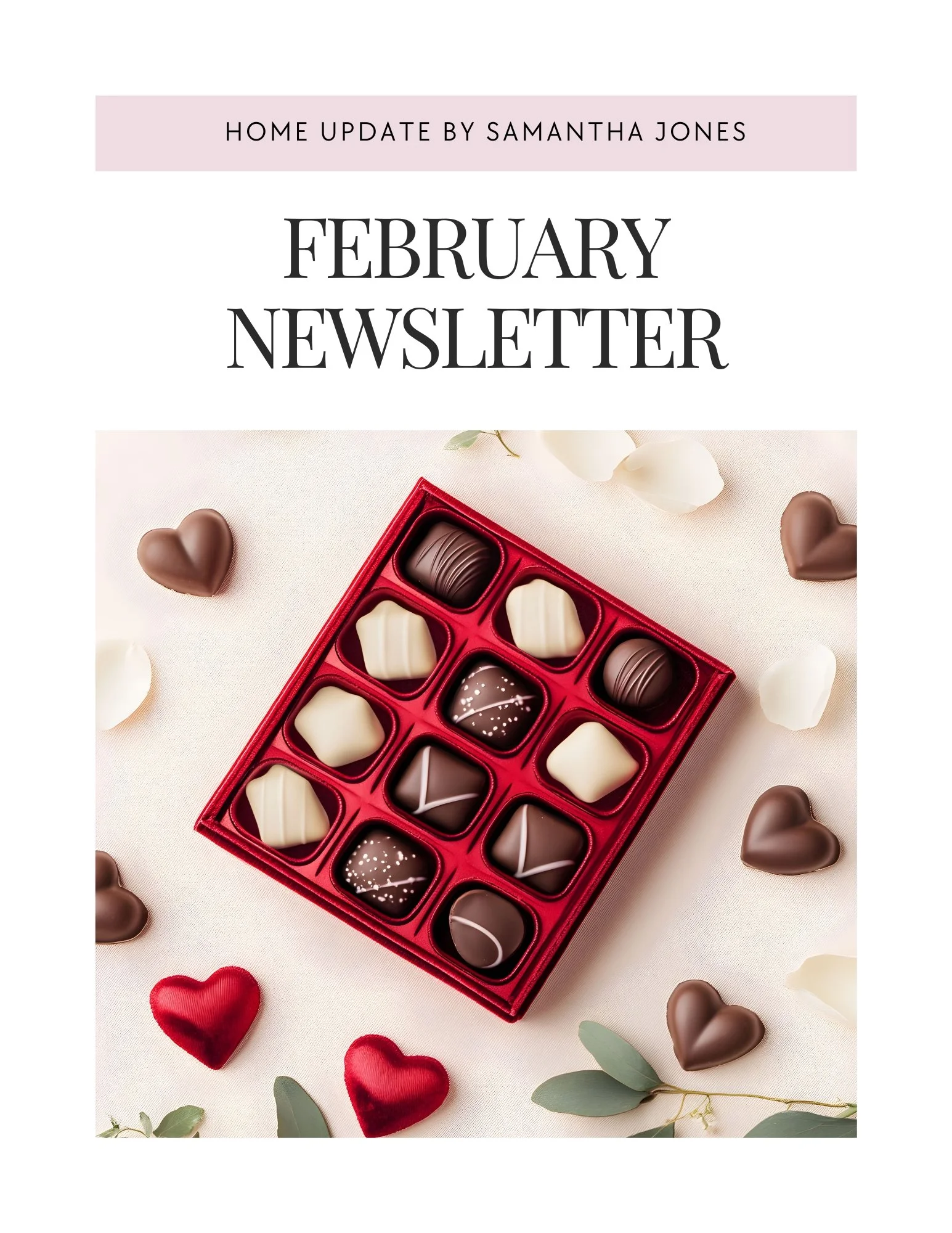 Monthly Newsletter template - February - The Ari Collection