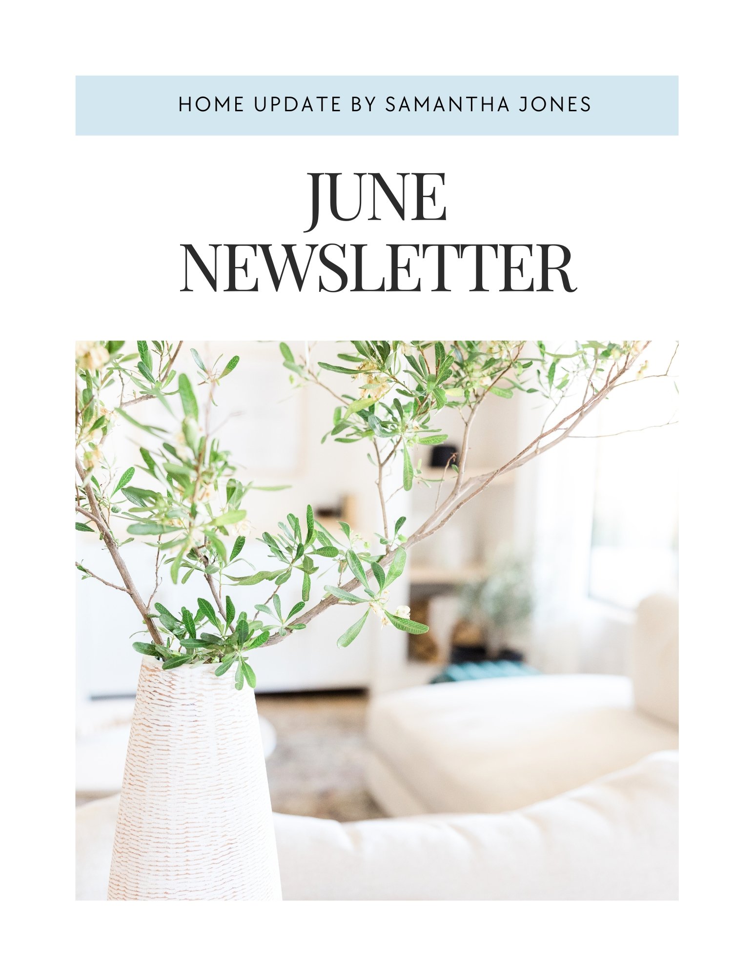 Monthly Newsletter template - June - The Ari Collection