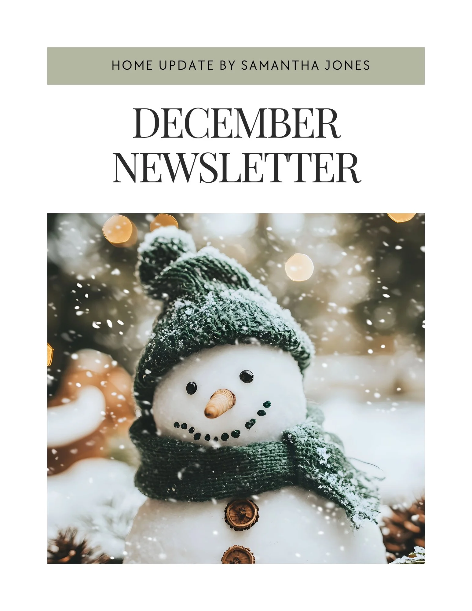 Monthly Newsletter template - December - The Ari Collection