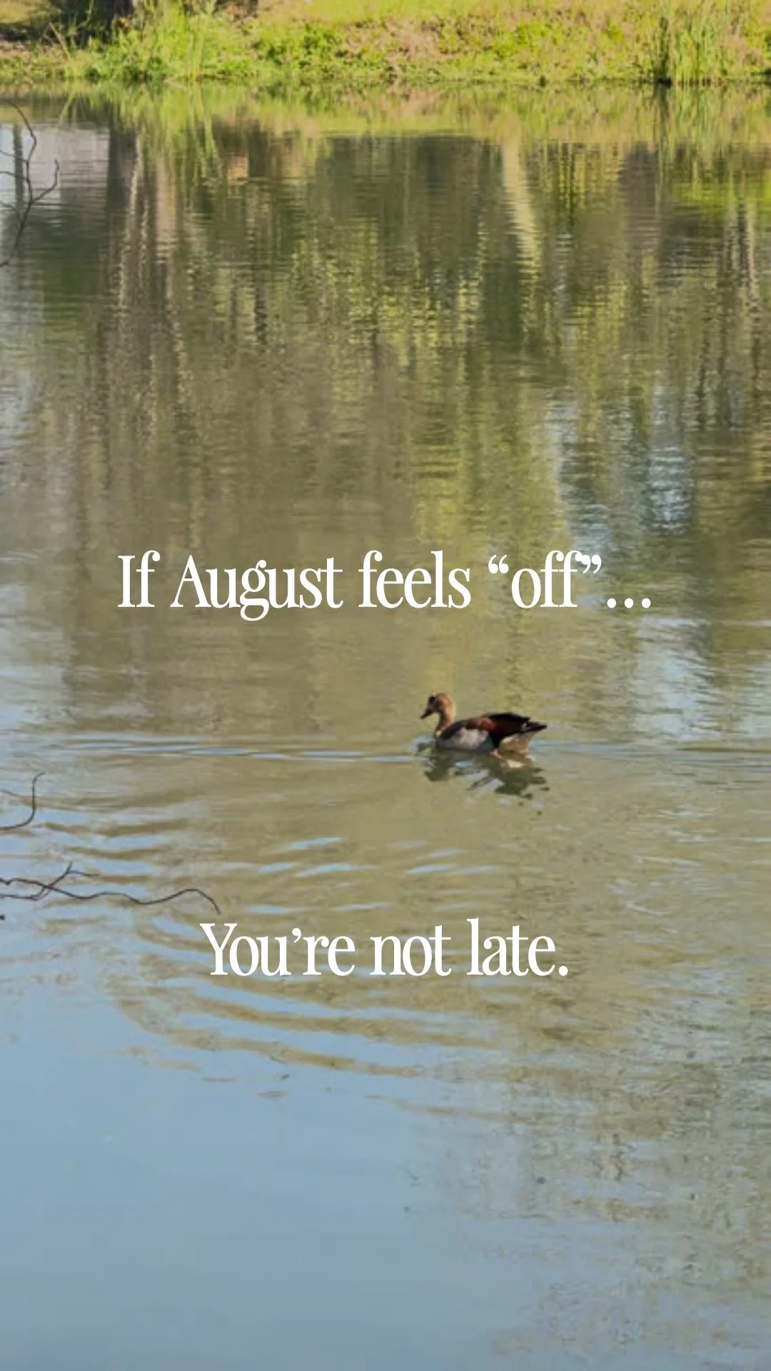 Ready to Post - Motivational - August