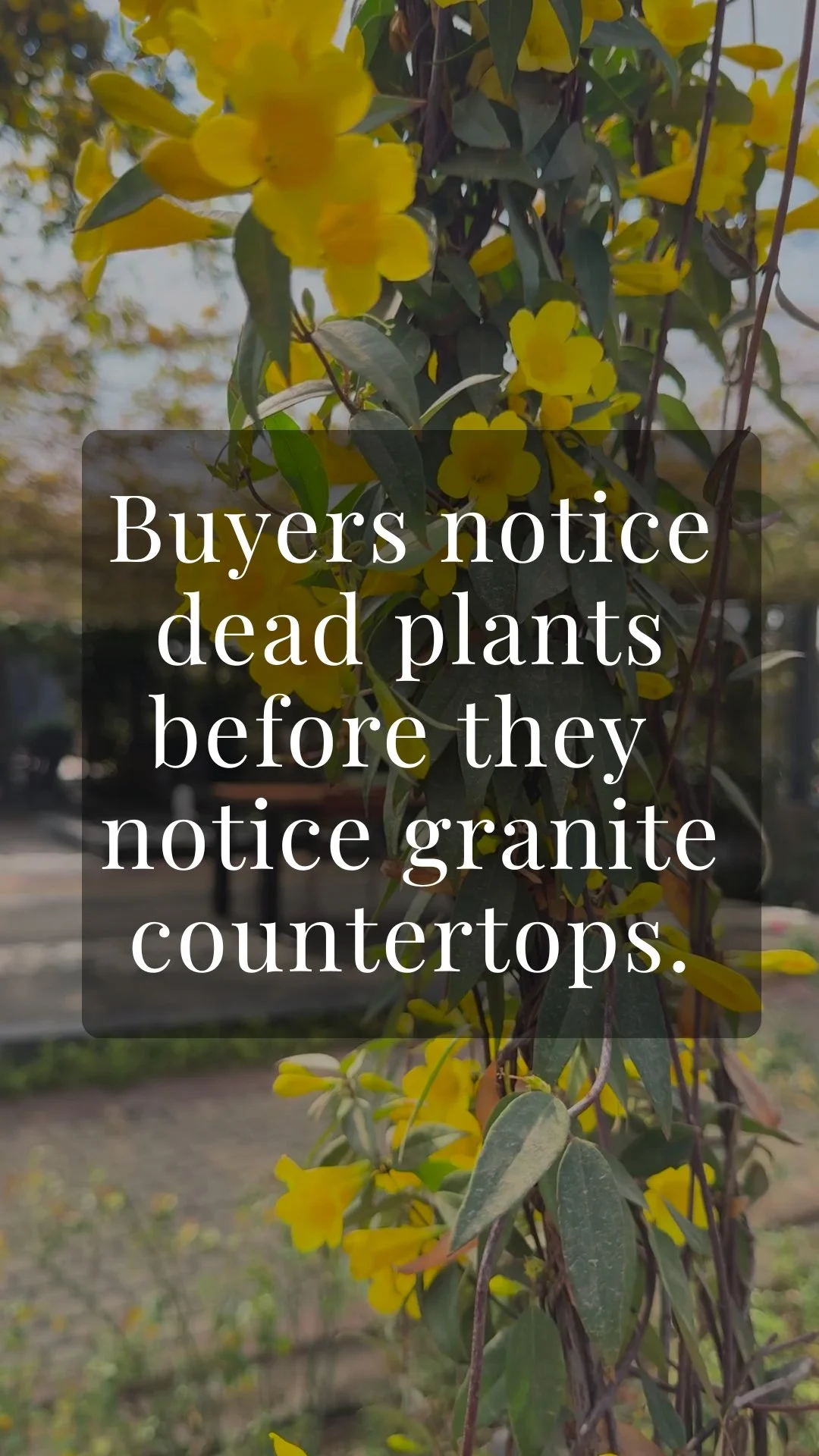 Real Estate Advice - Video Stories - May