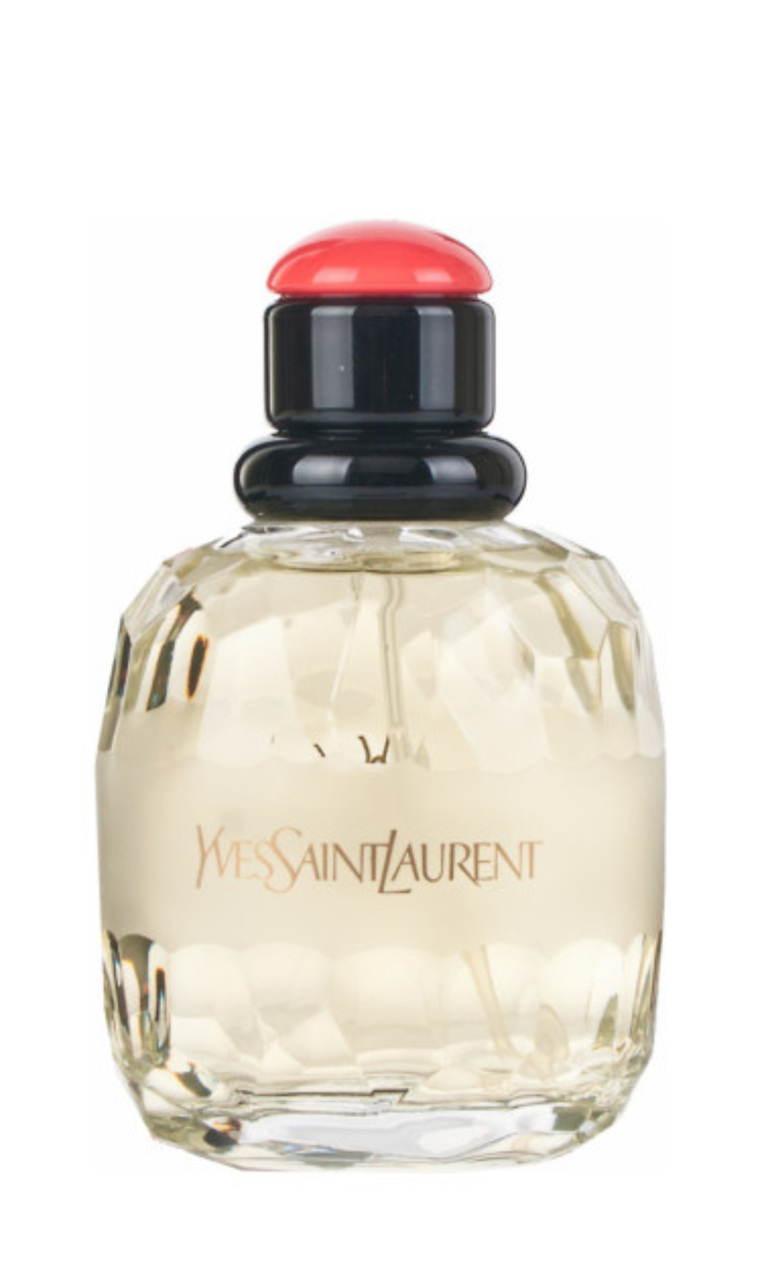 Yves Saint Laurent ~ Paris