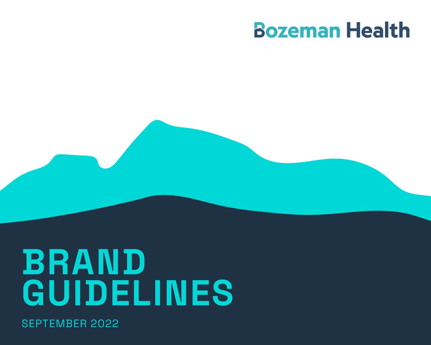 Brand Guidelines (consolidated)