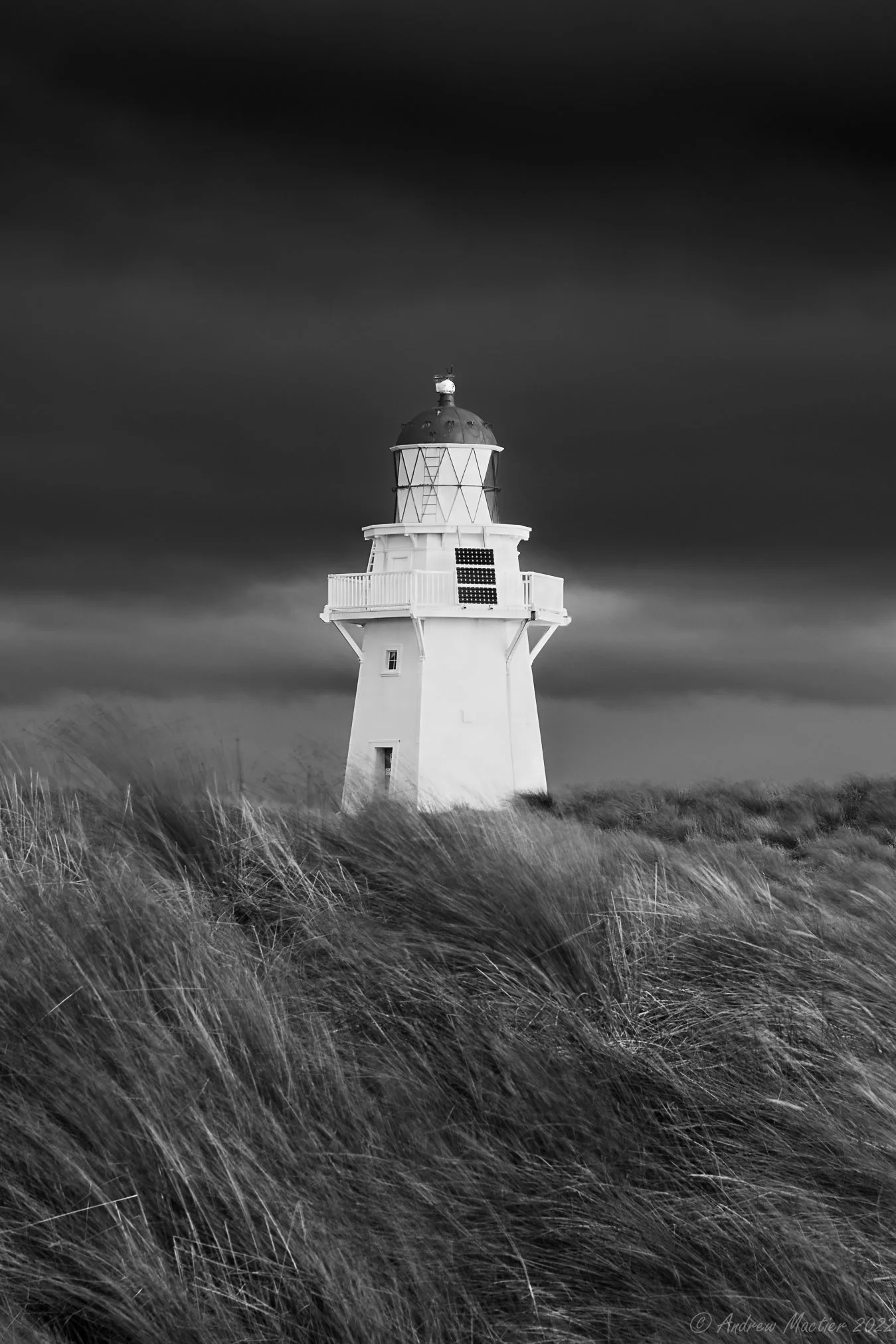 Waipapa Point B&W 8501317