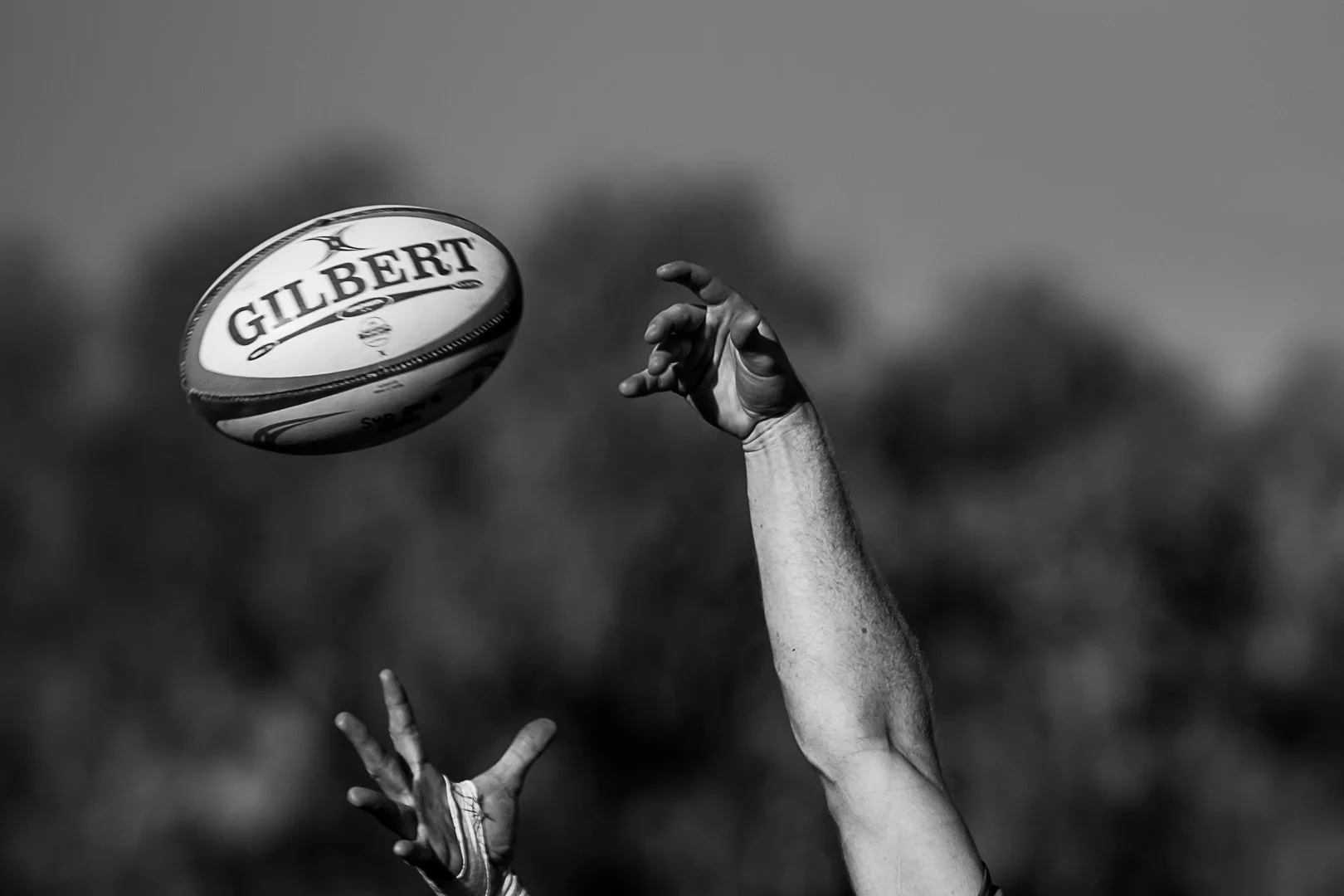 Rugby B&W - 0853
