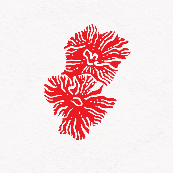 YUGEN_LILLUSTRATIONS.gif