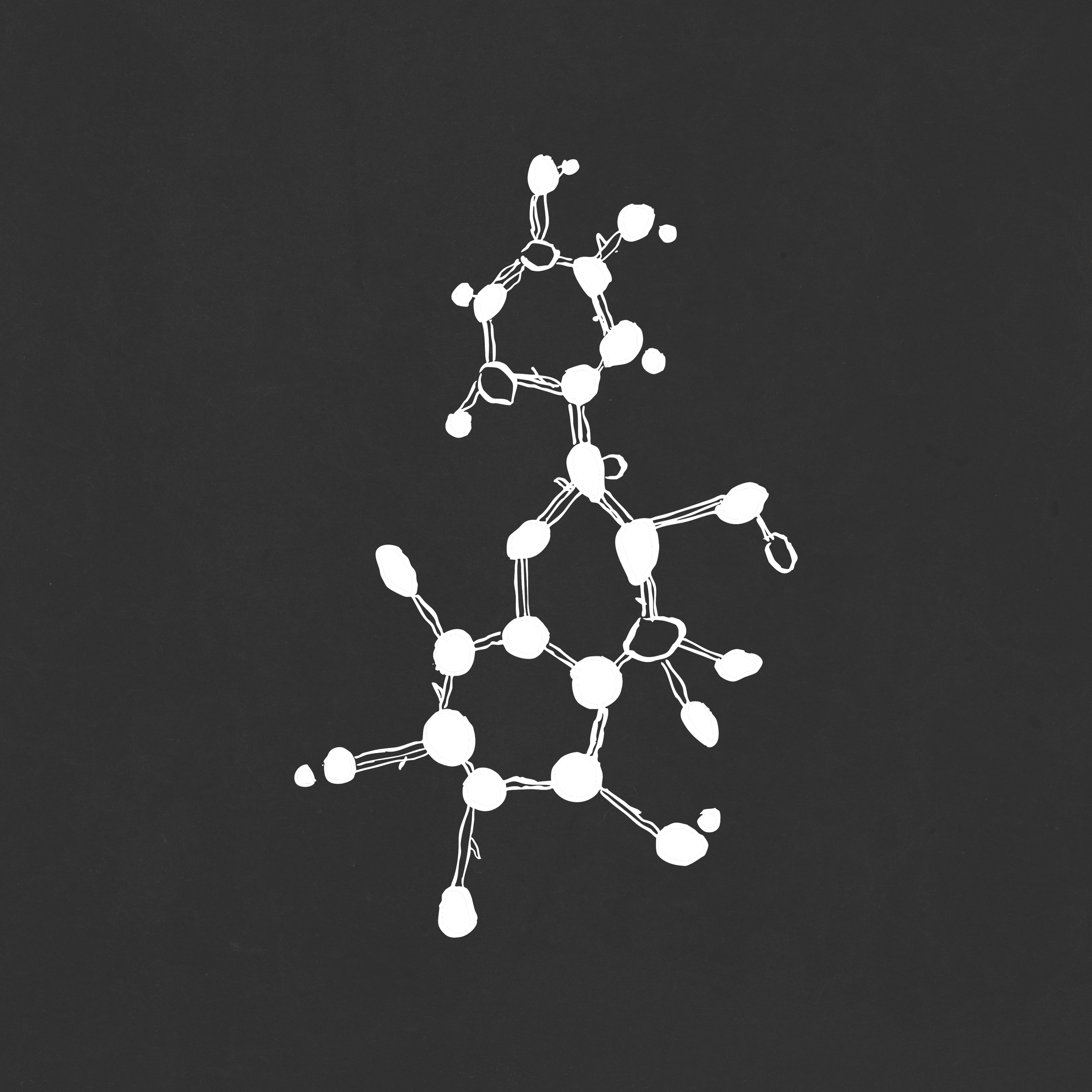 LUMEN_web-01.png