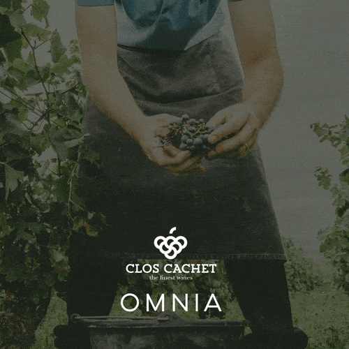 OMNIA_CLOS_EDM_1x1_04.06.2025_v3.gif