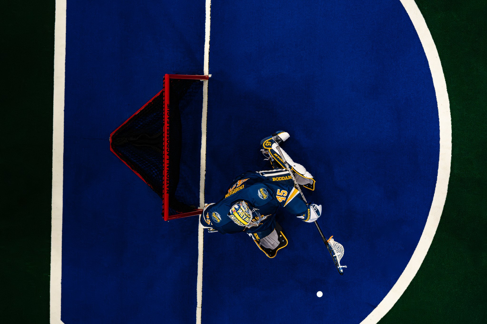 Georgia Swarm Lacrosse