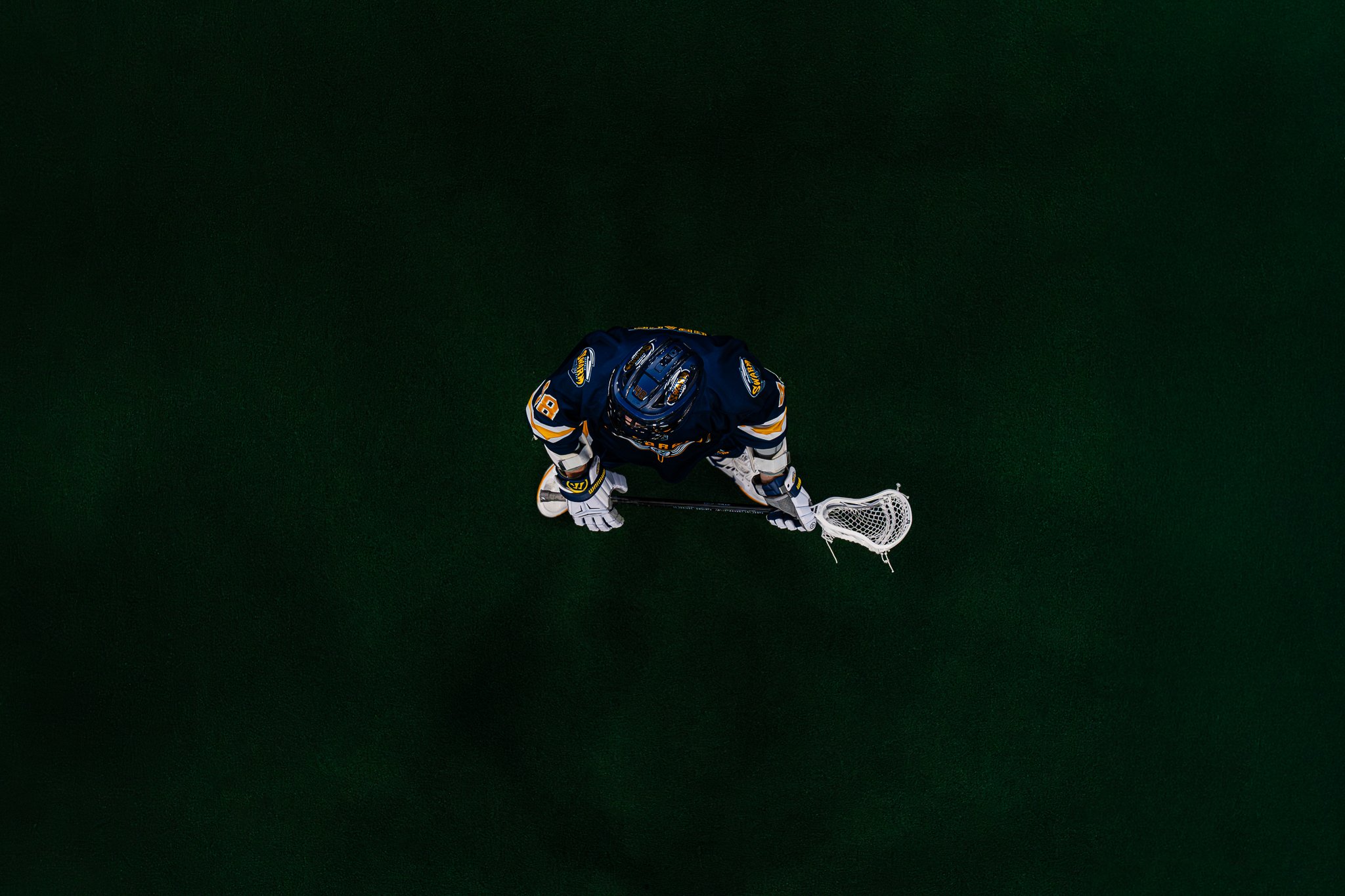 Georgia Swarm Lacrosse