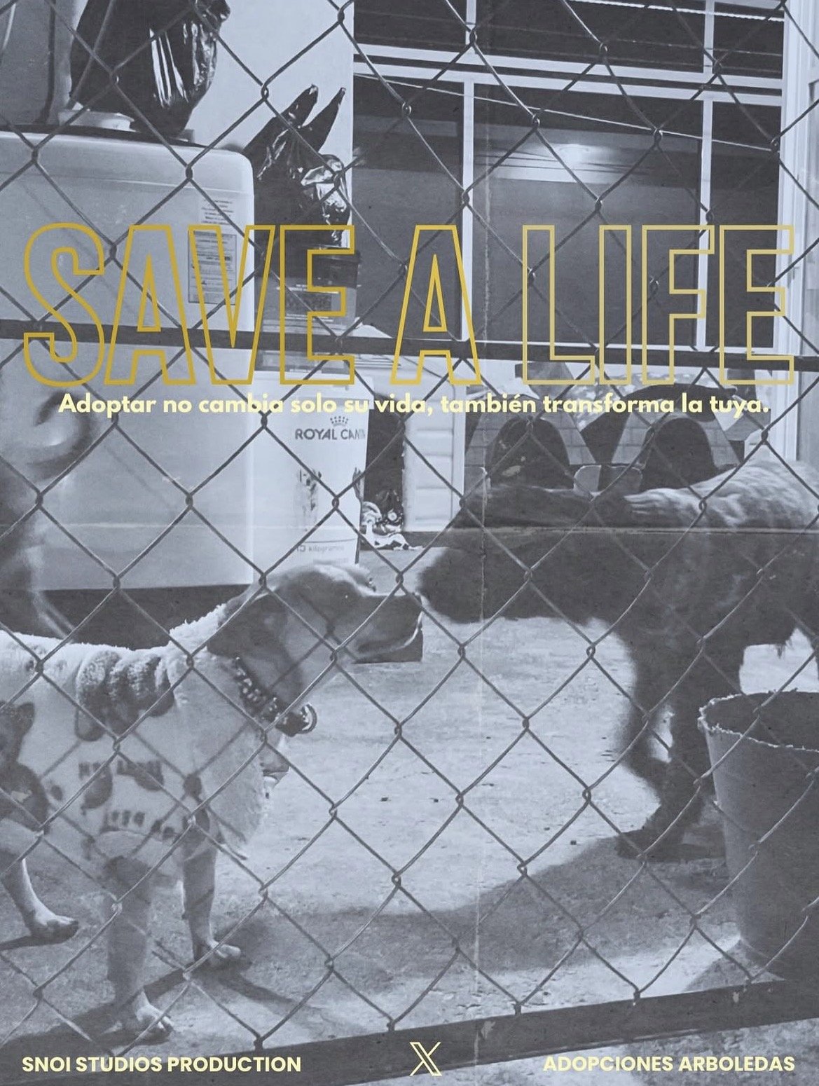 SAVE A LIFE (DOCUMENTARY)