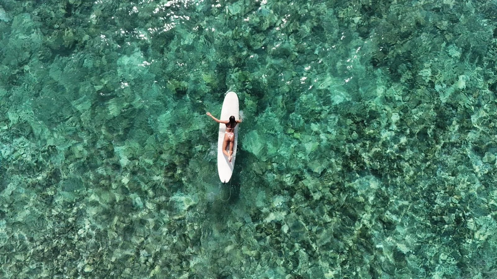 a surfer paddling in the ocean