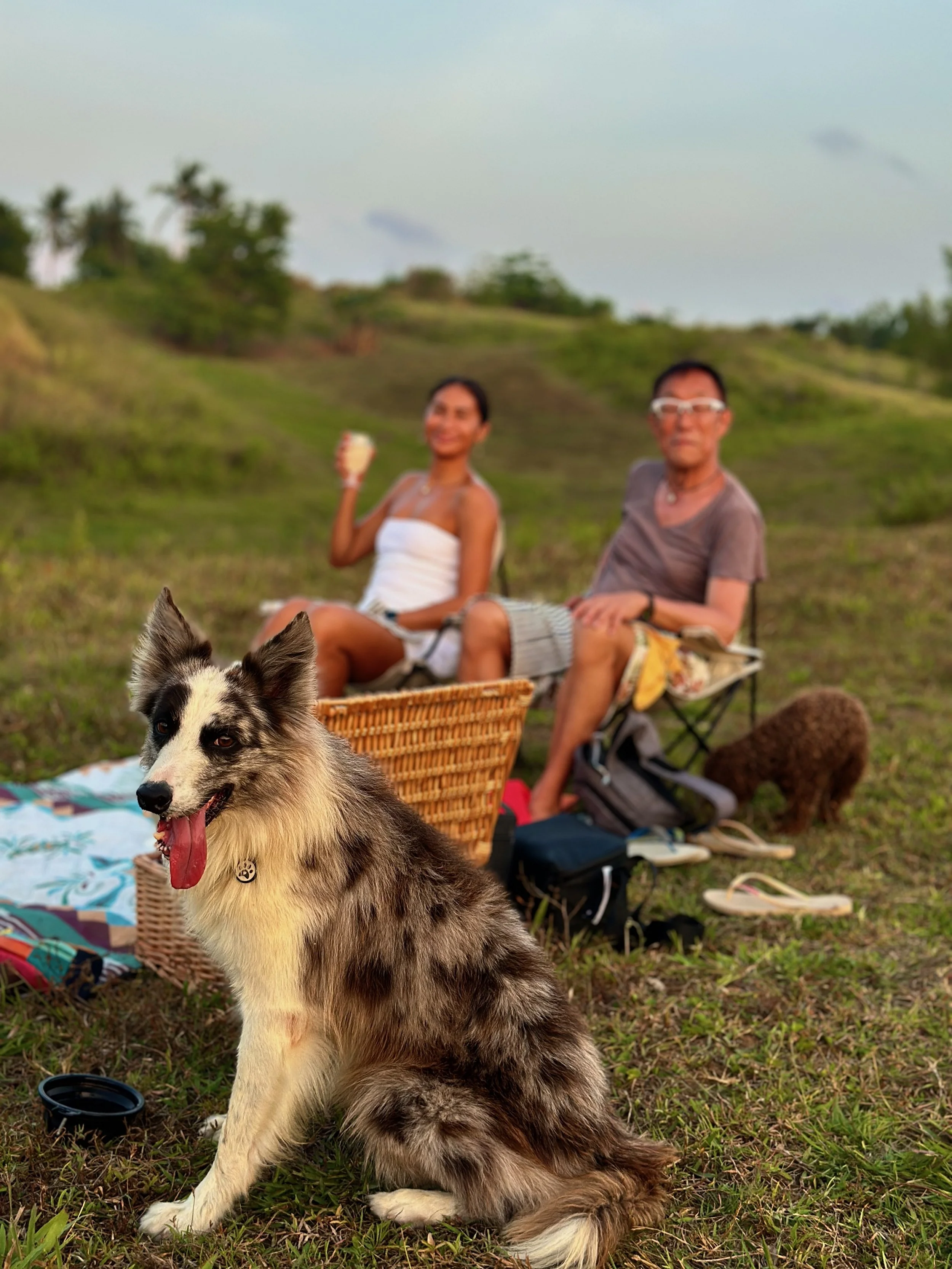 Luna, Kobe the dog and their guest enjoying the sunset as part of their Swimfit Siargao retreat
