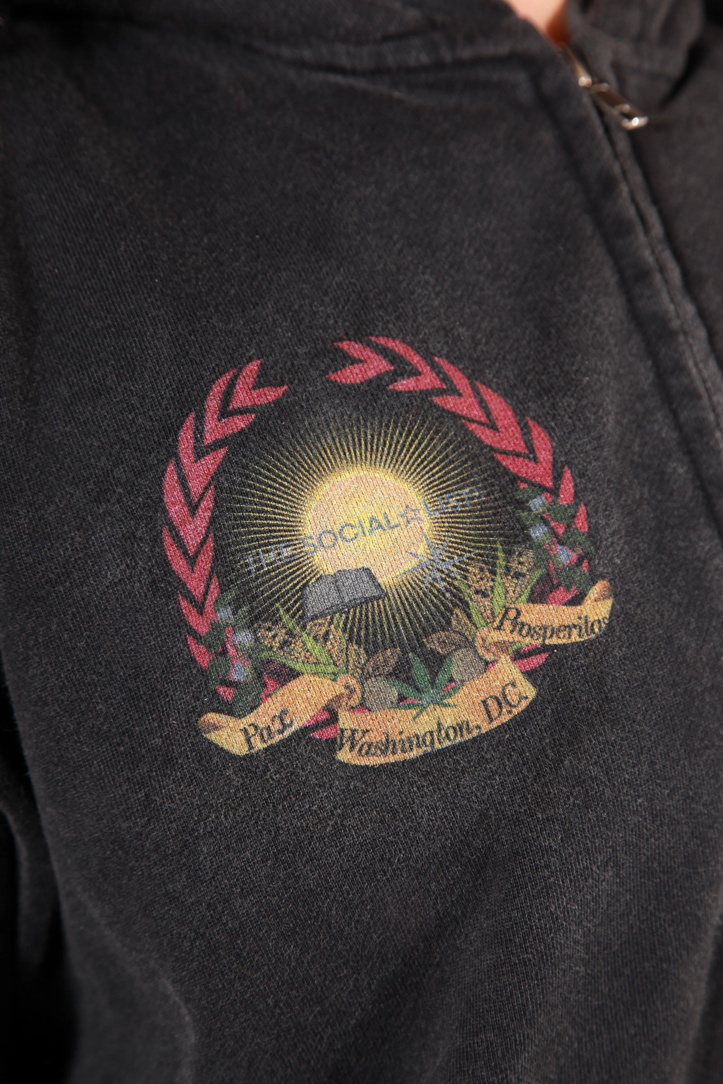 IMG_9725.jpeg (Copy)