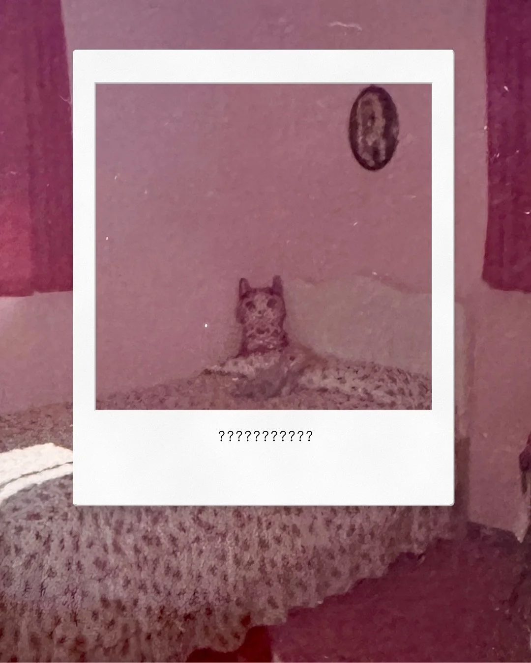 .
📸 𝑺𝑯𝑨𝑻𝑻𝑬𝑹𝑬𝑫 𝐄𝐀𝐒𝐓𝐄𝐑 𝐄𝐆𝐆 𝐂𝐇𝐀𝐋𝐋𝐄𝐍𝐆𝐄: 𝐃𝐀𝐘 𝟓
⠀⠀⠀⠀⠀⠀⠀⠀⠀
👀 Yesterday&rsquo;s Easter Egg? (Swipe to see it!!!)
Page 72: &ldquo;&rsquo;That&rsquo;s the canal that runs behind our home,&rsquo; Aunt Clari whispered in my ear.&