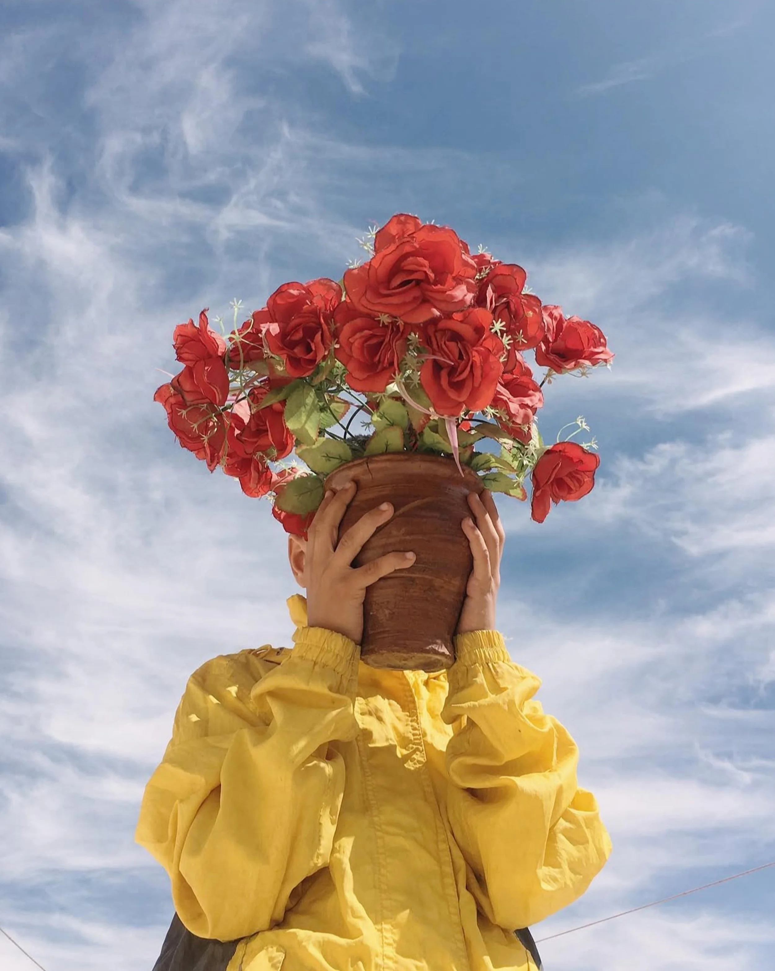 Child wearing a yellow jacket holding a flowerpot with bright red flowers against a blue sky with clouds.