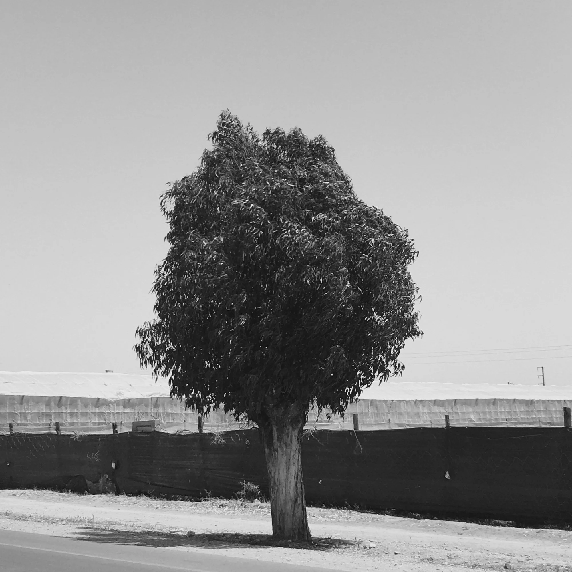 Z4.jpg