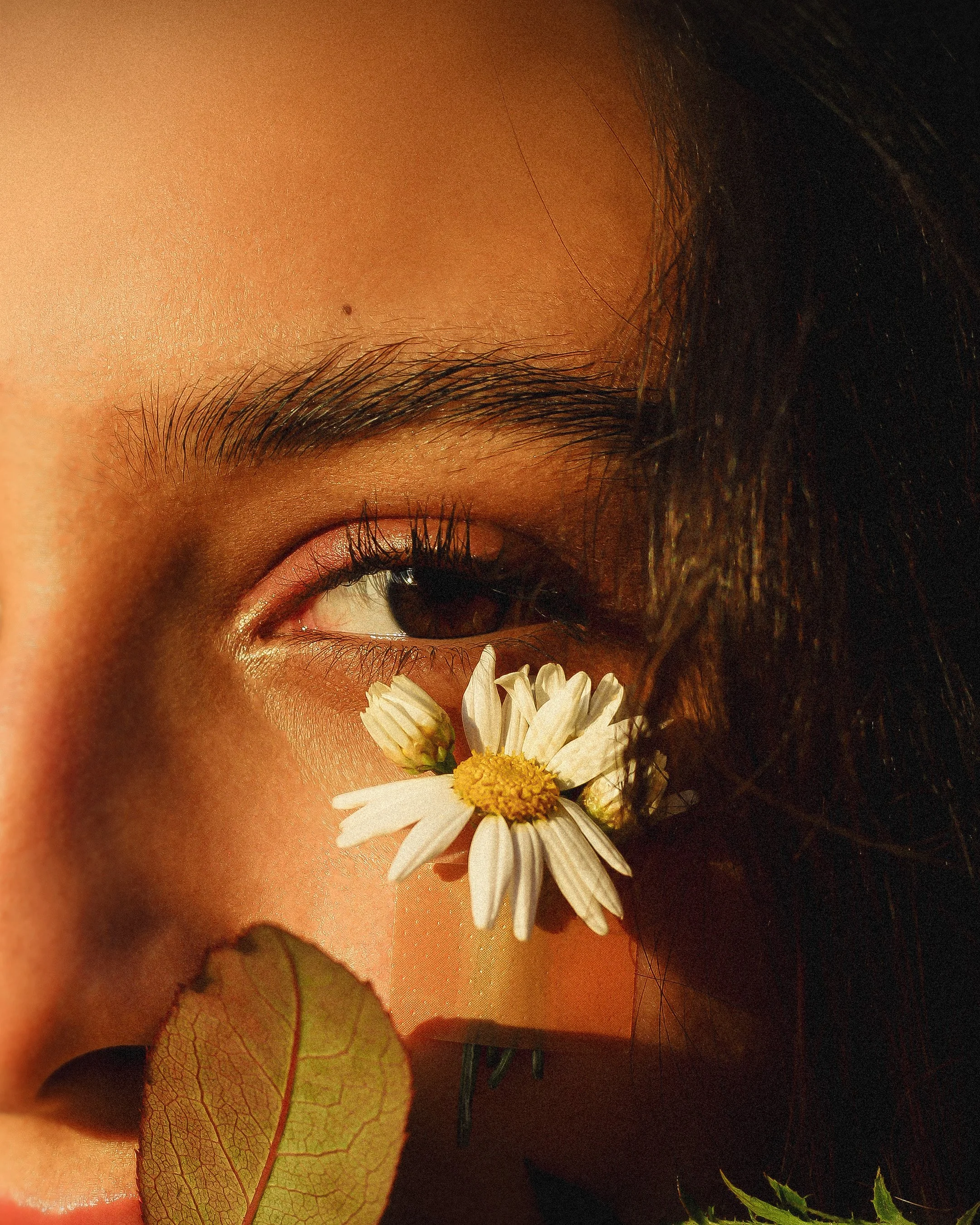 Close-up of a woman's face with a daisy flower near her nose, soft warm lighting, dark hair partially covering her face.