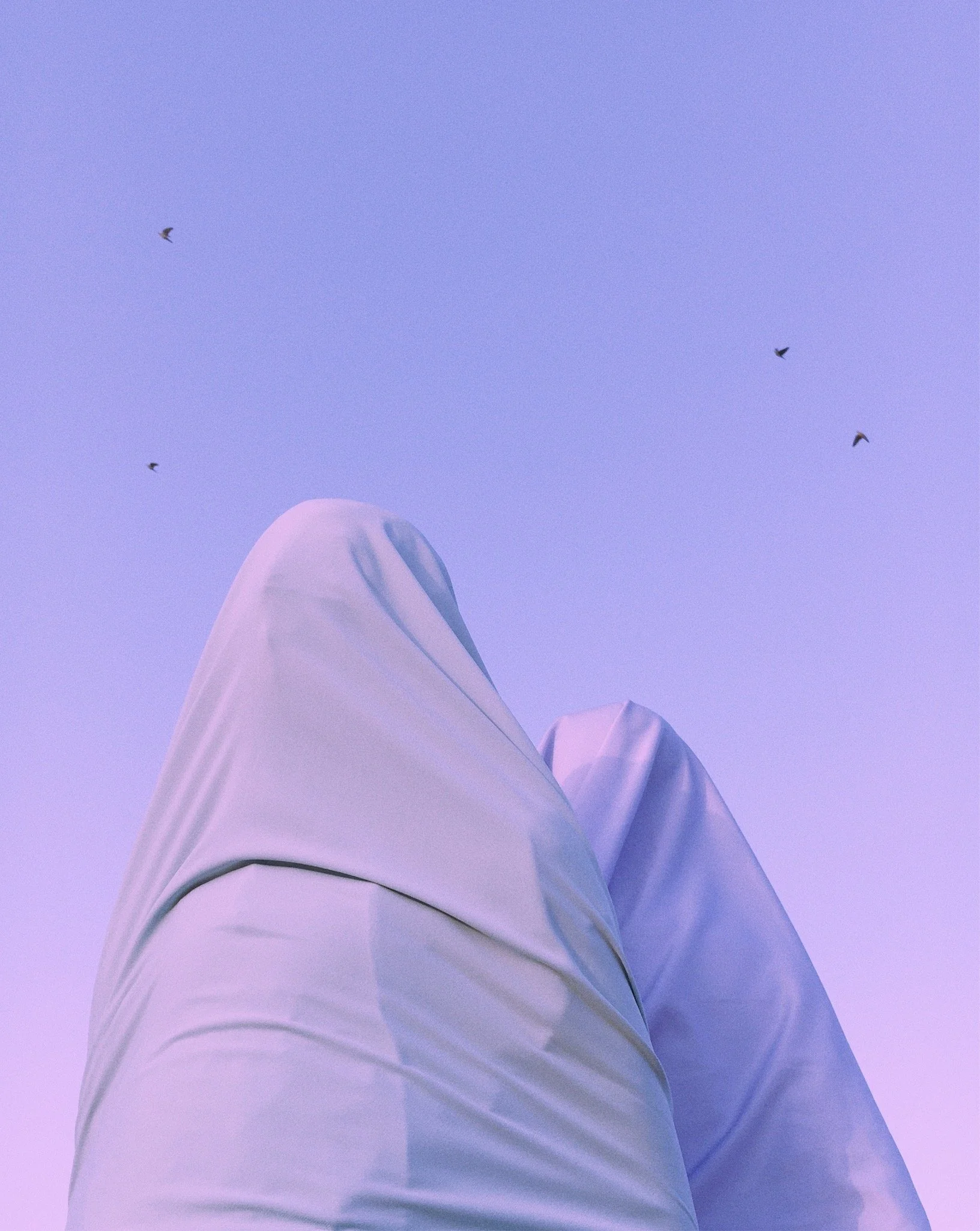 Low-angle view of white fabric-covered structures under a pale sky with four birds flying overhead.