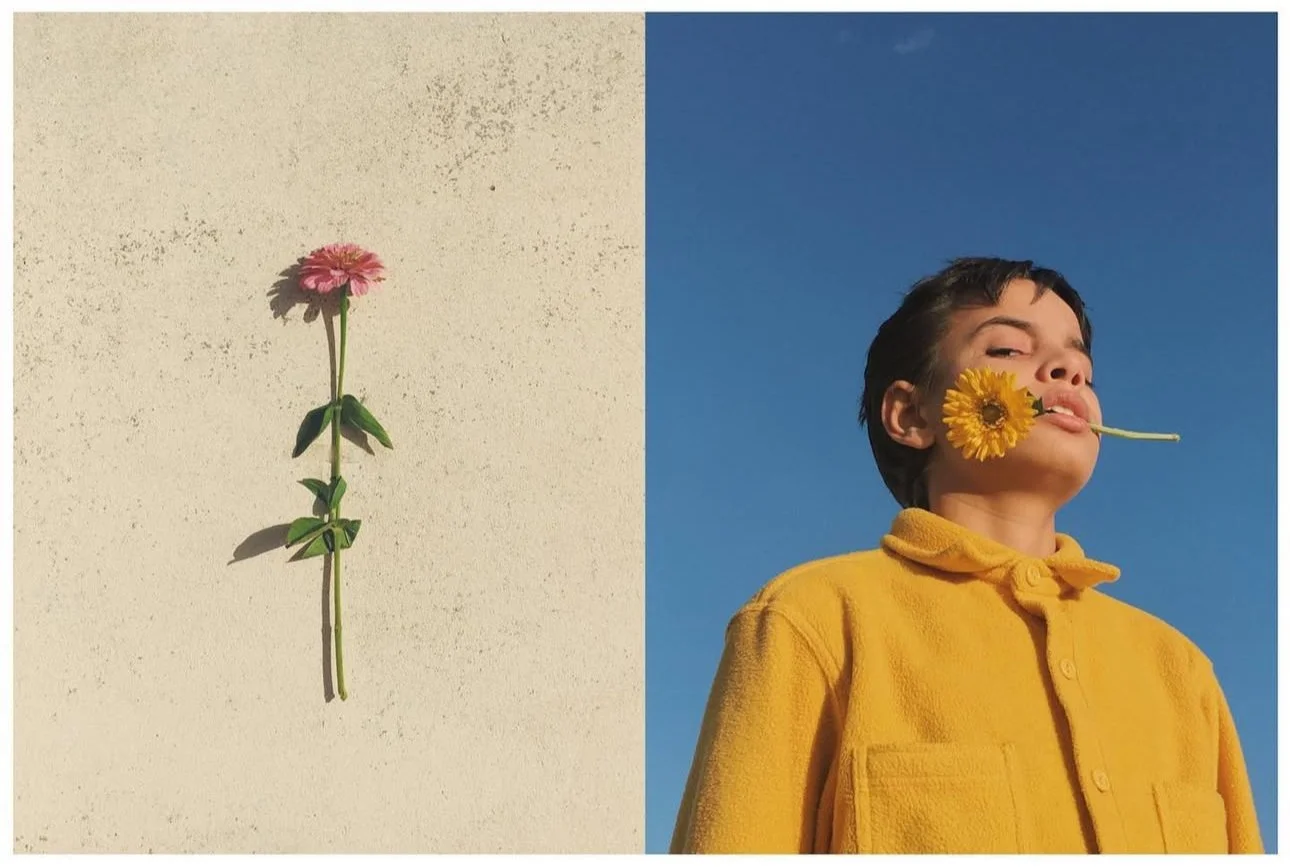 A split image with a pink flower on the left against a beige wall and a person on the right wearing a yellow jacket with a yellow flower in their mouth against a clear blue sky.