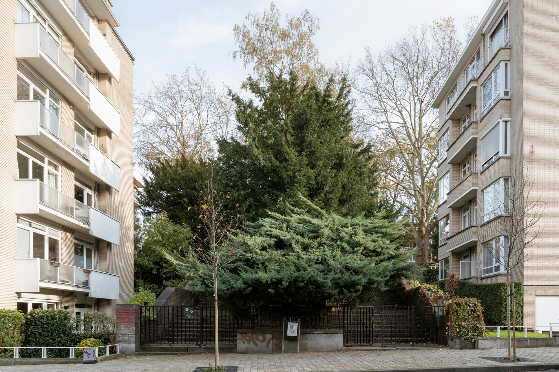 Parc Buccholtz_en collaboration avec BIOS