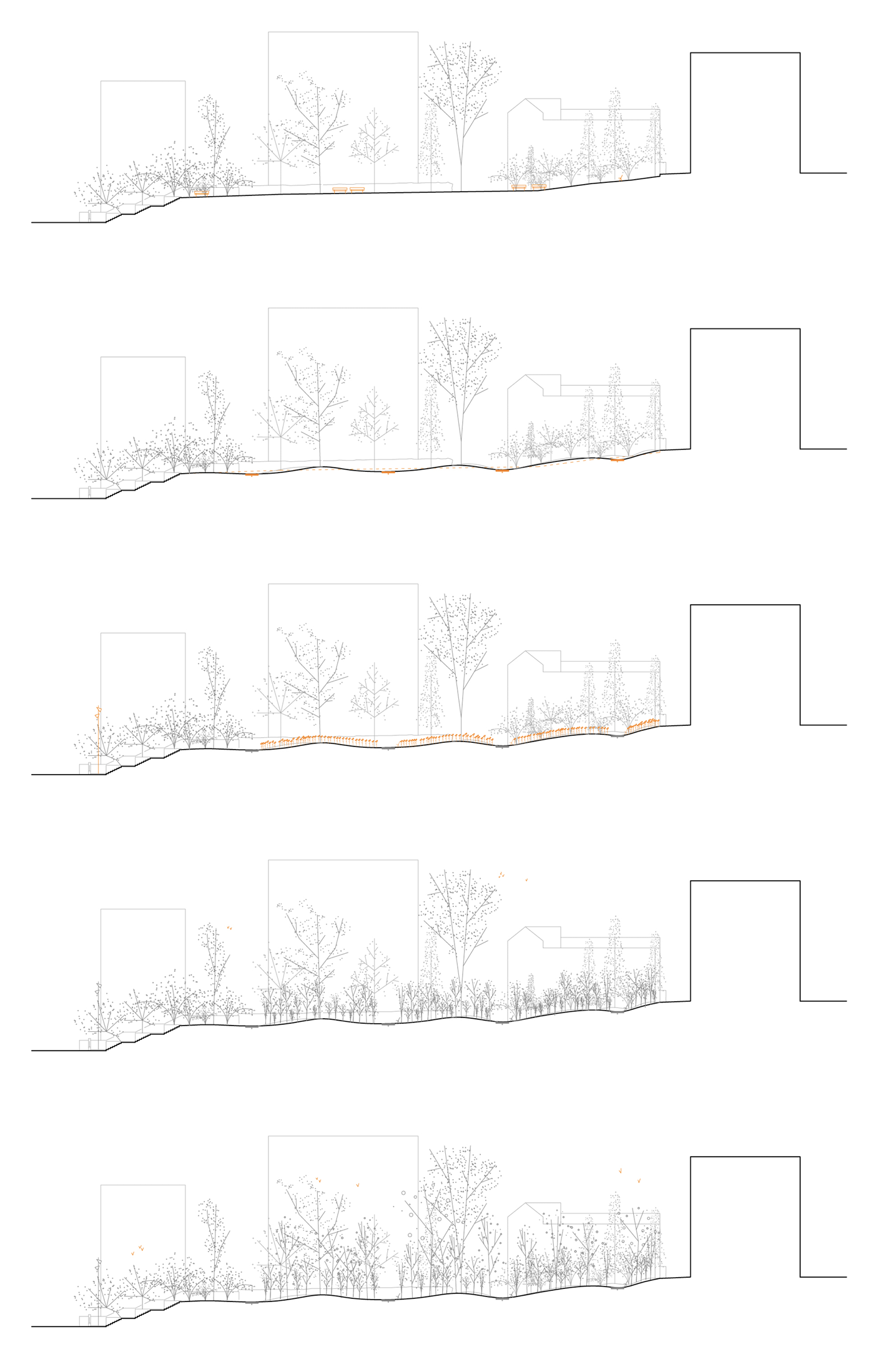 Parc Buccholtz_en collaboration avec BIOS