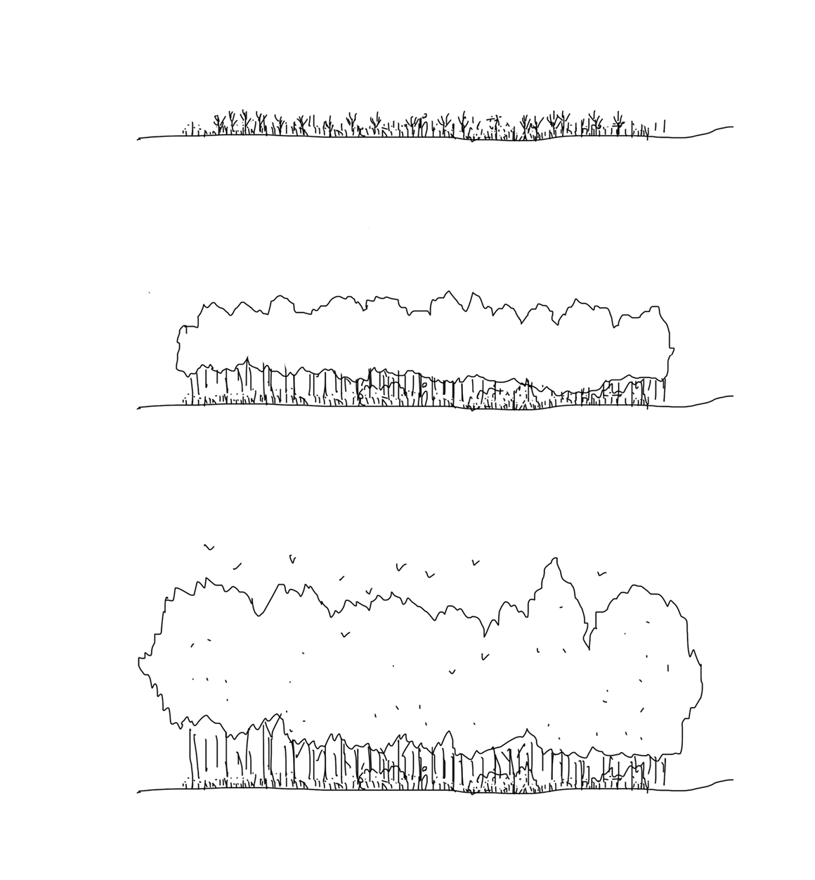 Parc Buccholtz_en collaboration avec BIOS