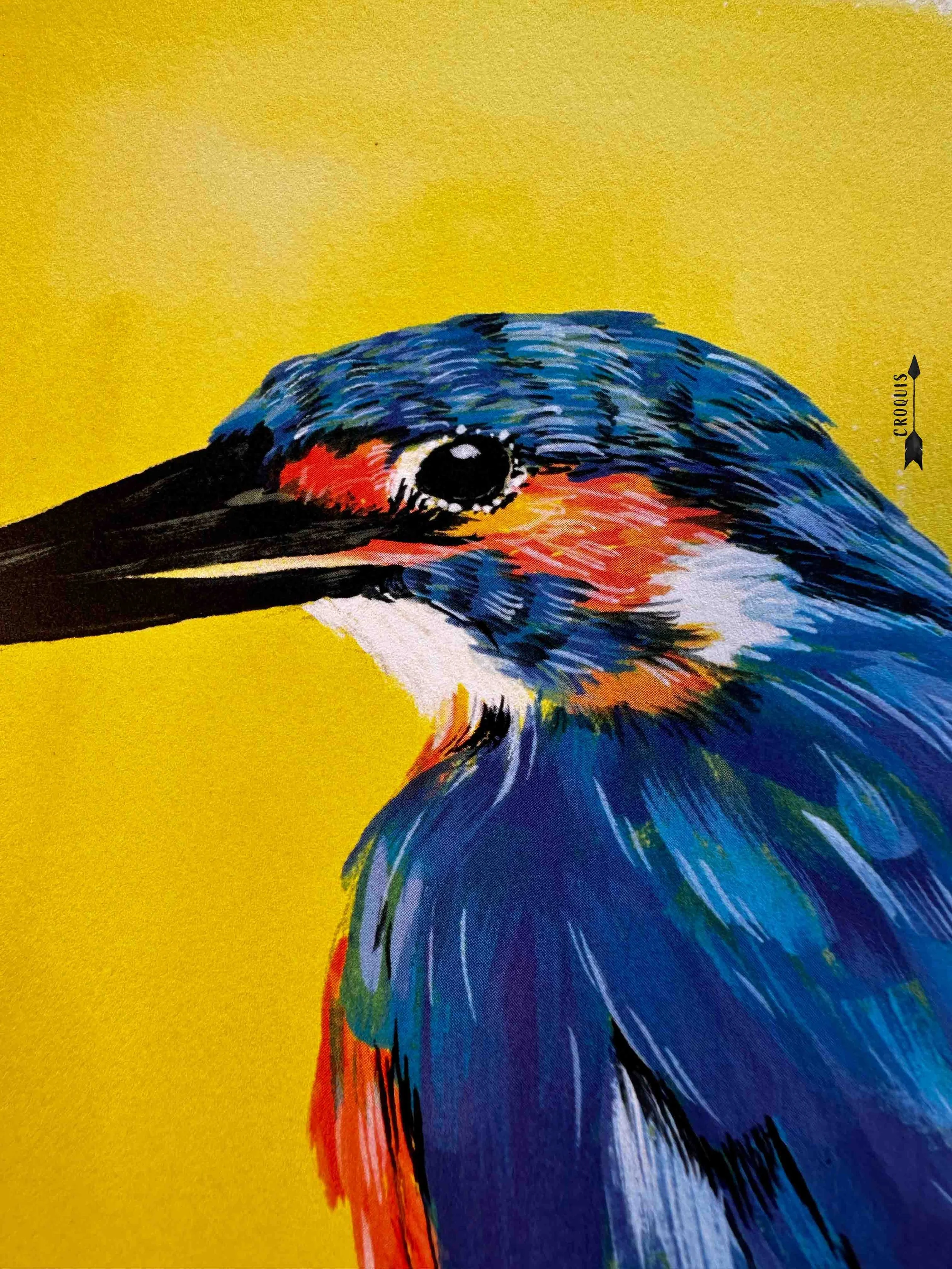 martin pêcheur close up.jpg