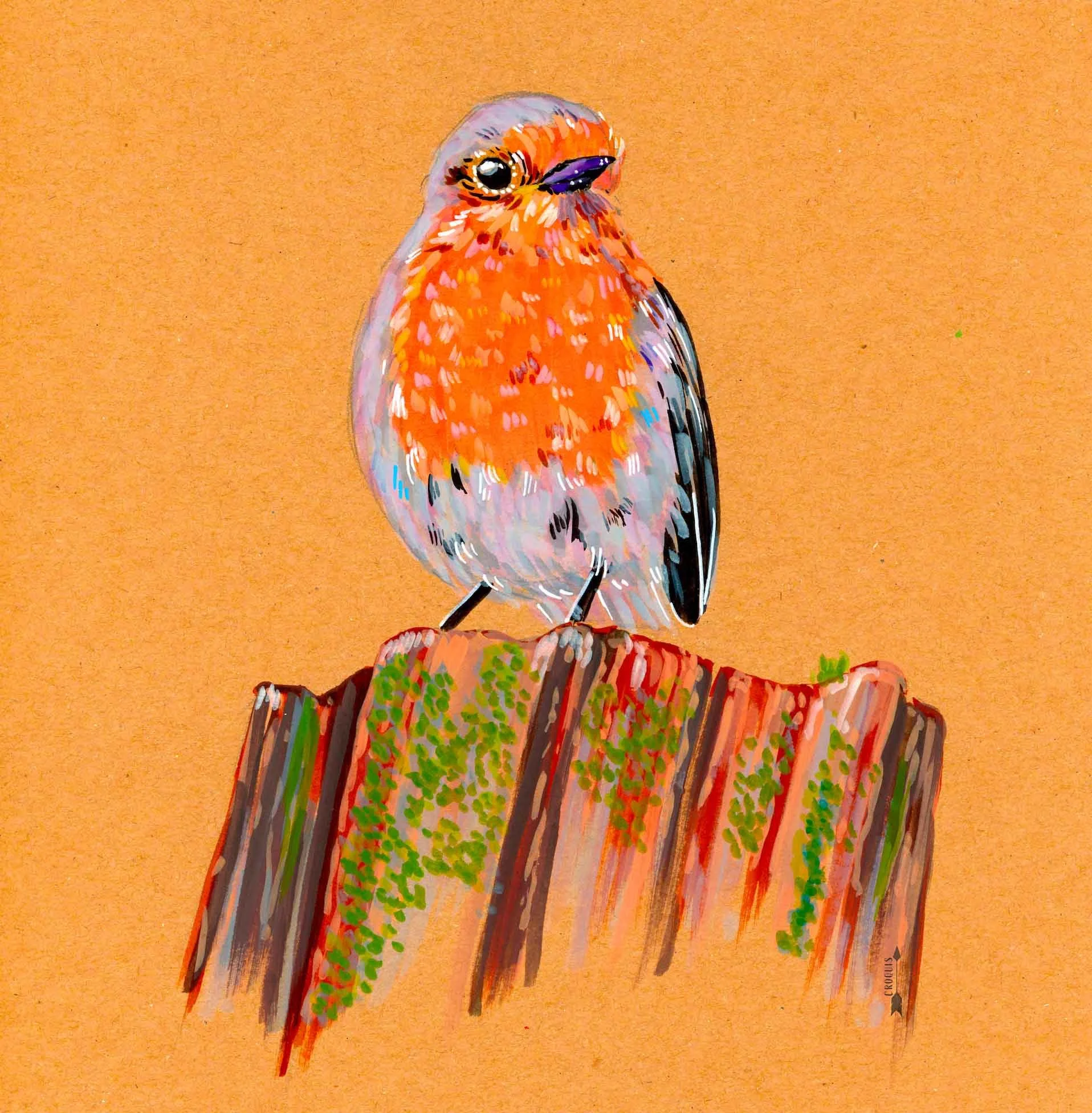 rouge gorge léger.jpg