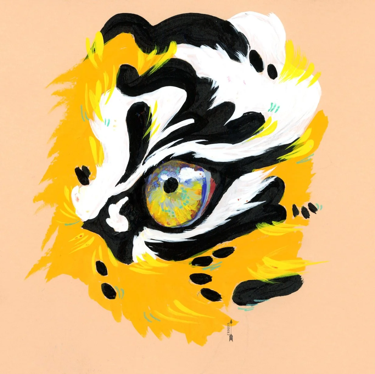 oeil de tigre fond couleur copie.jpg