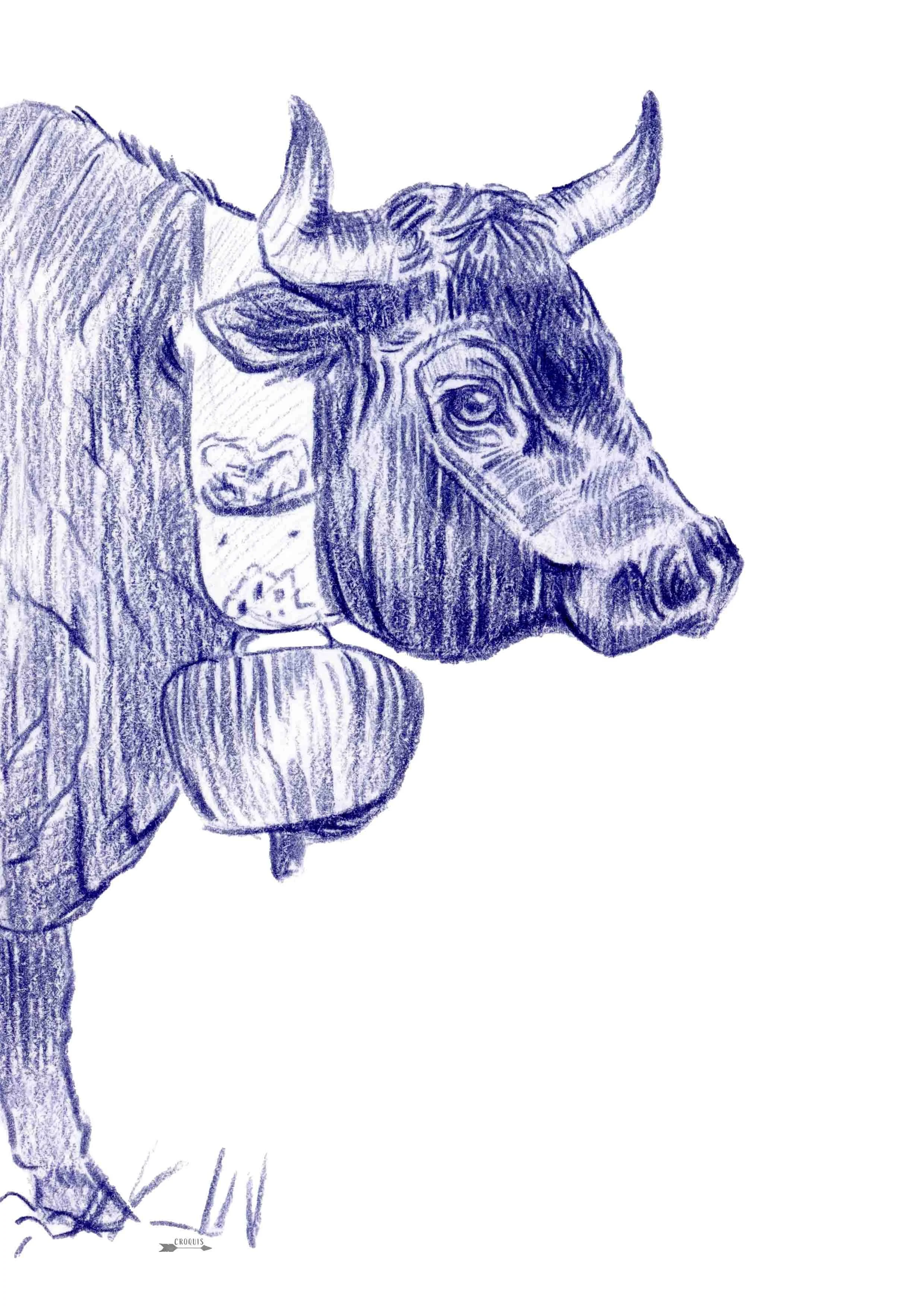 vache bleue copie 2.jpg