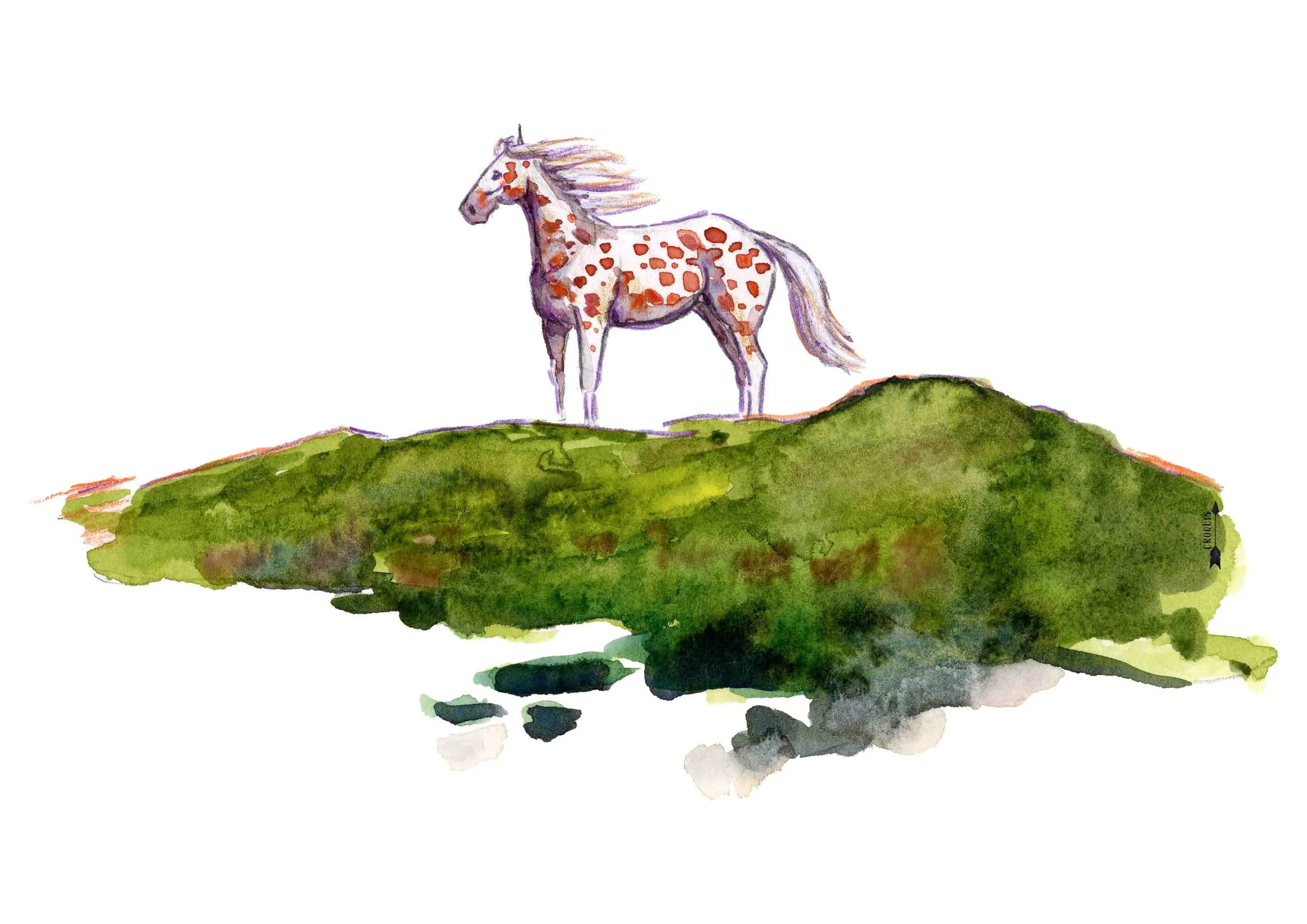 appaloosa_fond.jpg